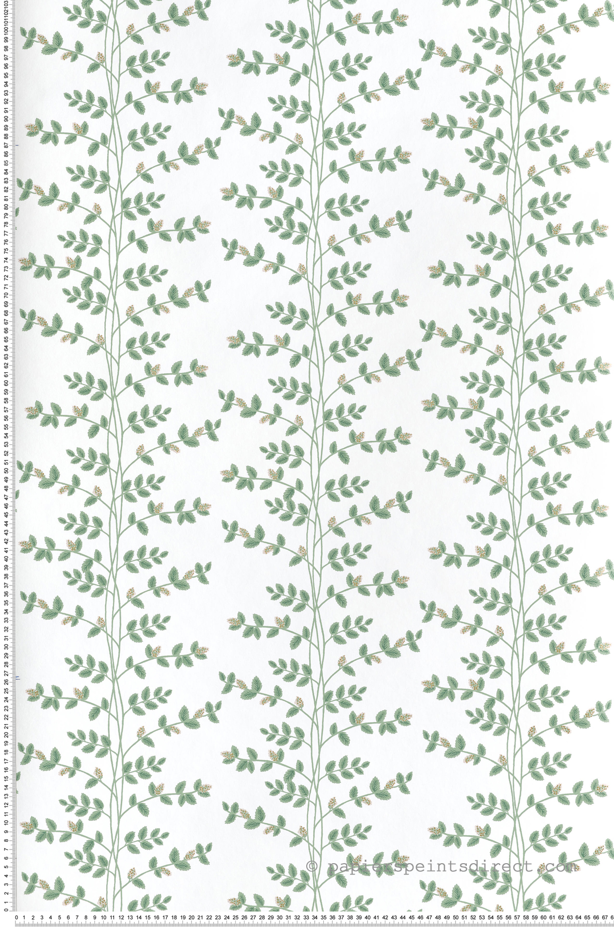 Papier peint Feuillage Climbing Vine vert doré - Rifle Paper Co. 3 de York (Initiales) | Réf. INI-RF7424