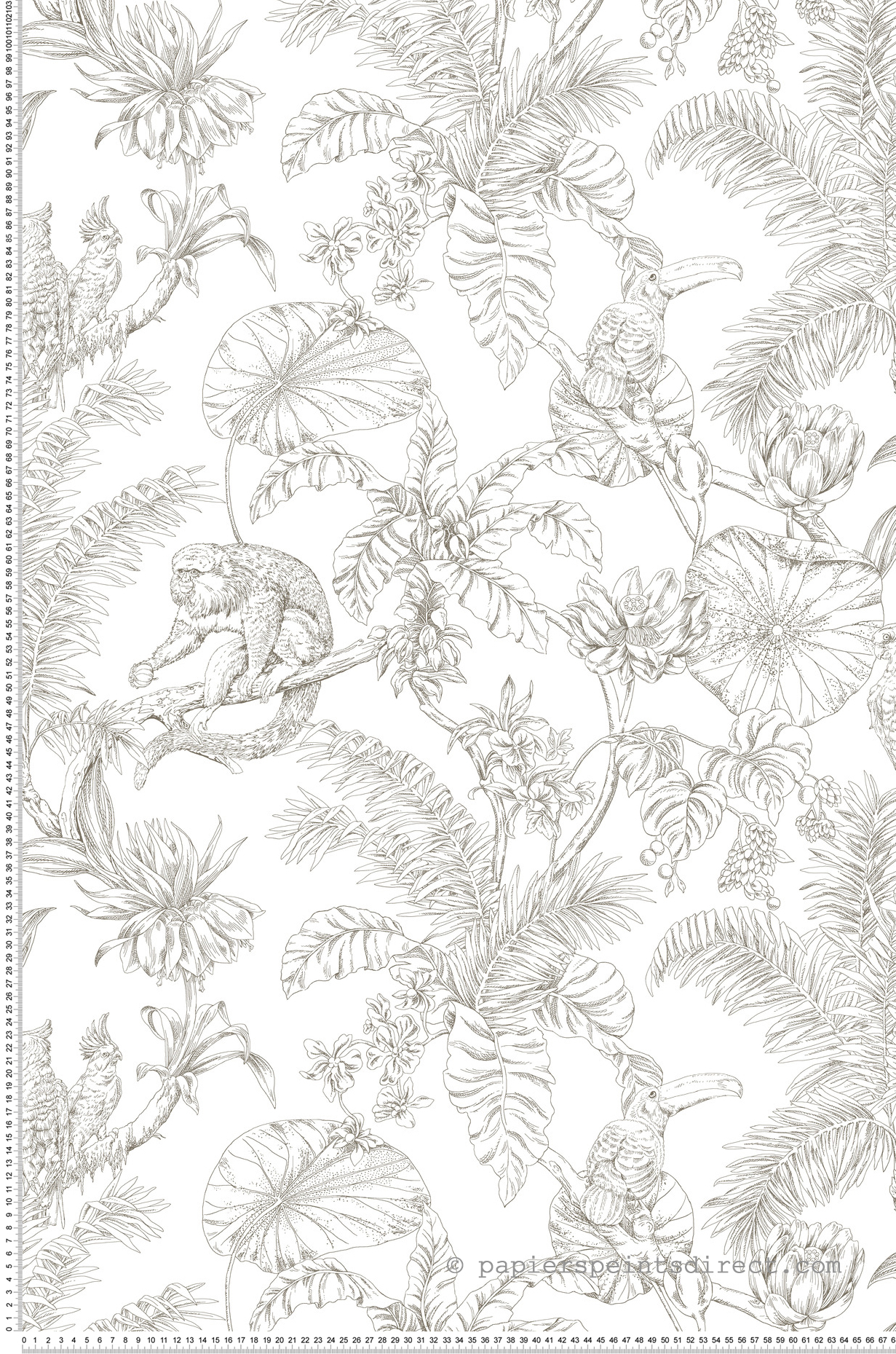 Papier peint Singe Toucan Tropical marron foncé - Toiles de York (Initiales) | Réf. INI-RT7843