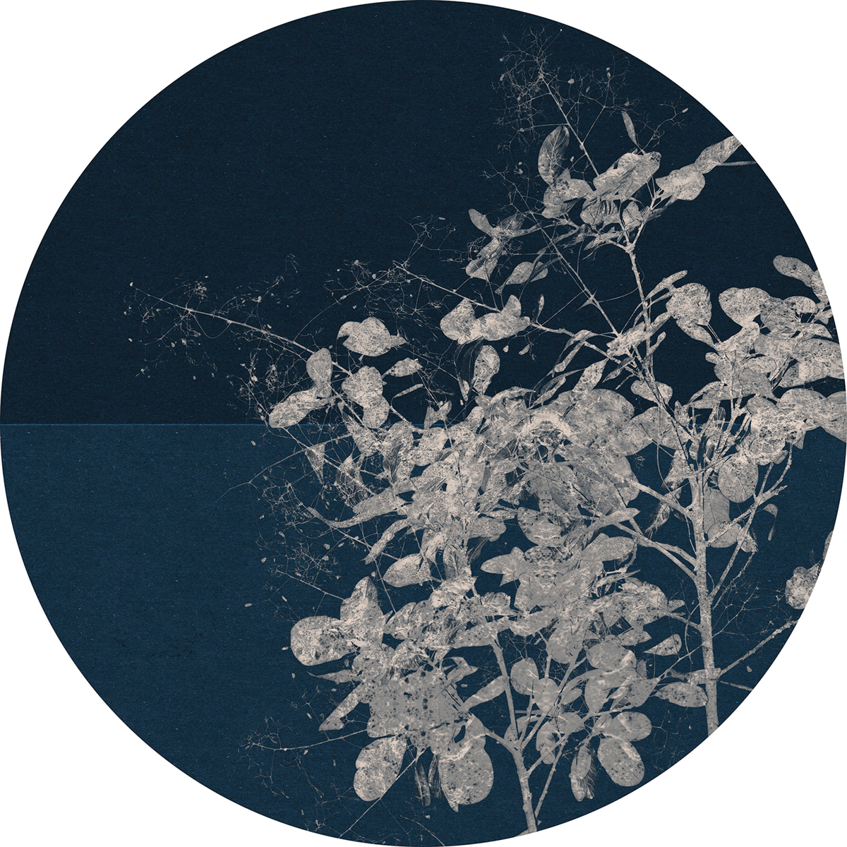 Papier peint adhésif rond Japonais Branch - Papier peint Komar Dots