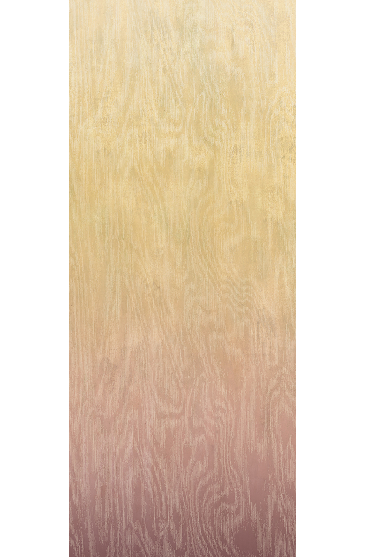 Papier peint panoramique Dégradé Moiré Bois rose beige - C H260 - Wall Designs IV de Masureel | Réf. MAS-DG4MOI1063-260