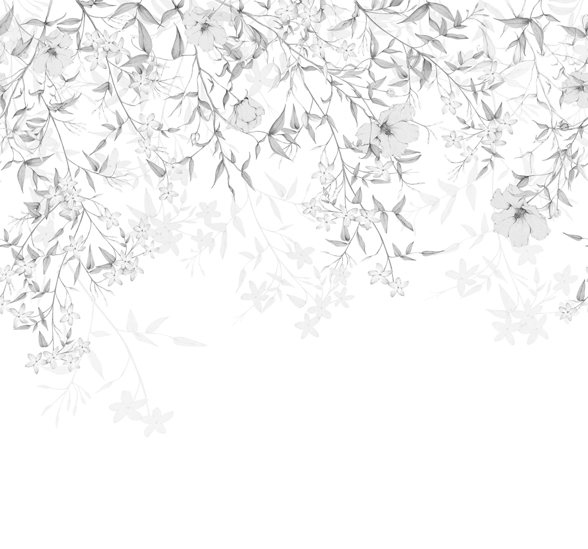 Papier peint panoramique Fleuri Flore Enchantée M gris 300X280 - Wonderwalls 2 de Casadéco | Réf. WDWD200199408