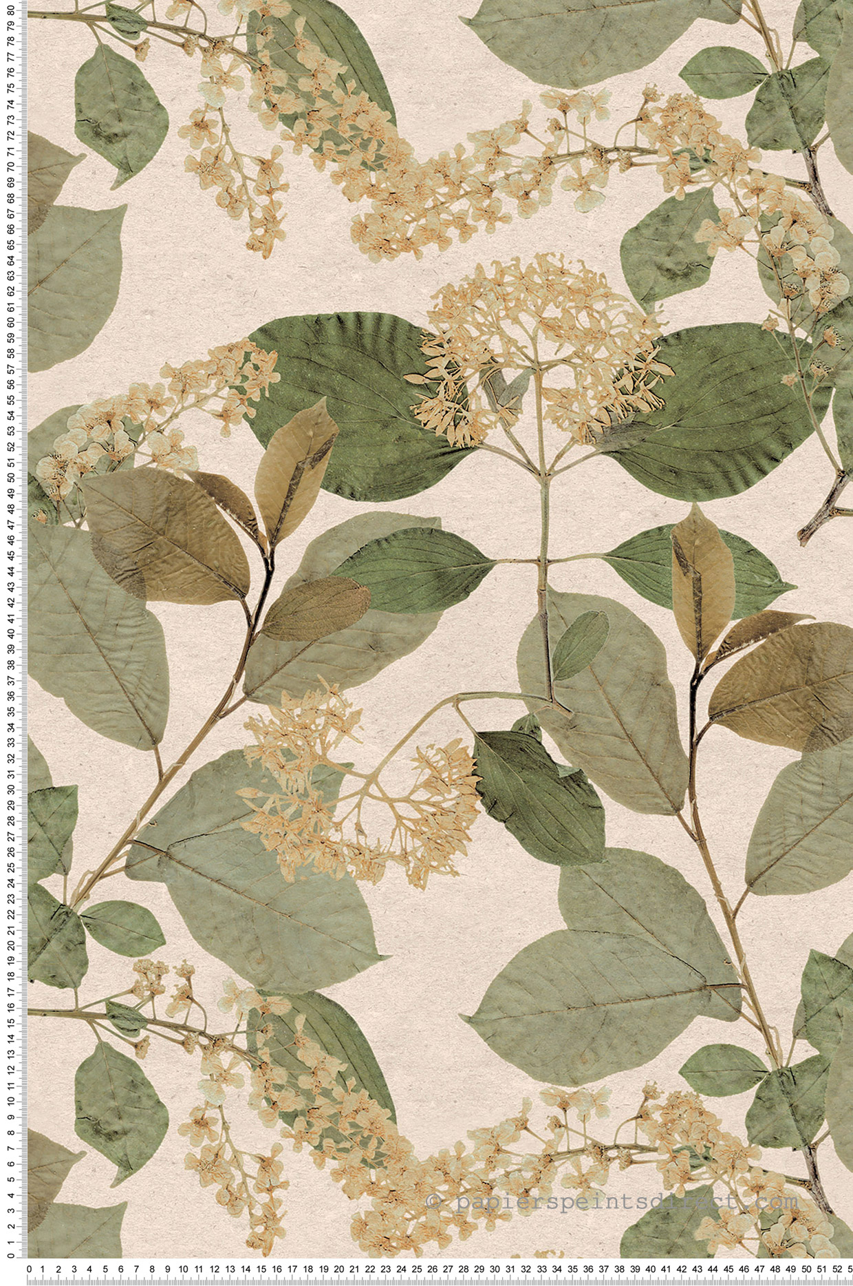 Papier peint Feuille Branchage Aplat vert beige - Herbier de Montecolino | Réf. MC-HE27230