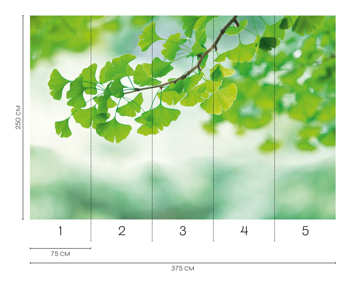 Papier peint panoramique Ginkgo Branche - Wall Love d'A.S. Création REGLE | Réf. DD129567