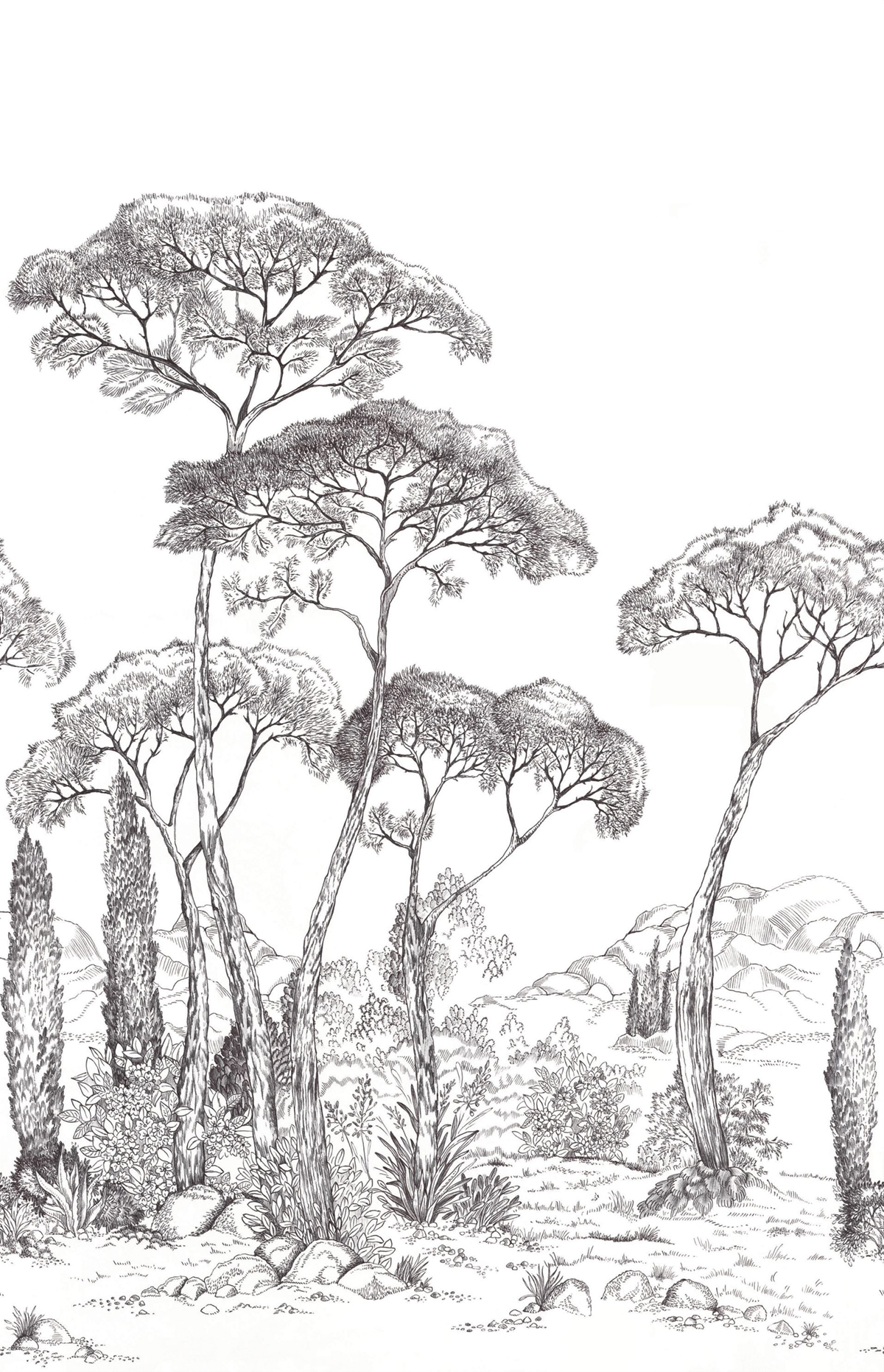 Papier peint Panoramique Méditerranéen Forest Of Pinea noir et blanc 200X310 - Moonlight 3 de Casélio | Réf. MNL3107290904