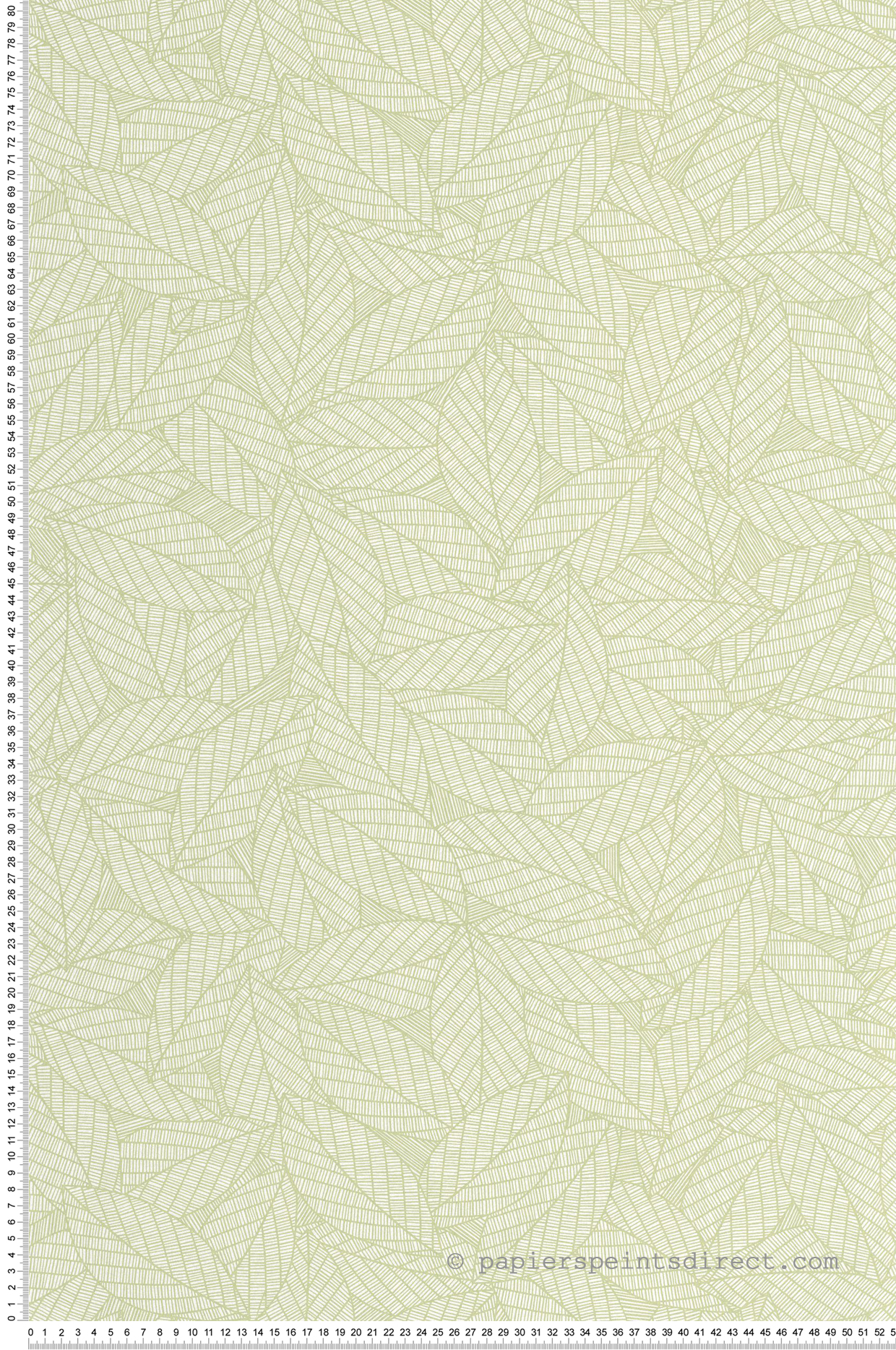 Papier peint Feuille Nervure Delora vert amande - Elea de Casélio | Réf. ELEA107347004