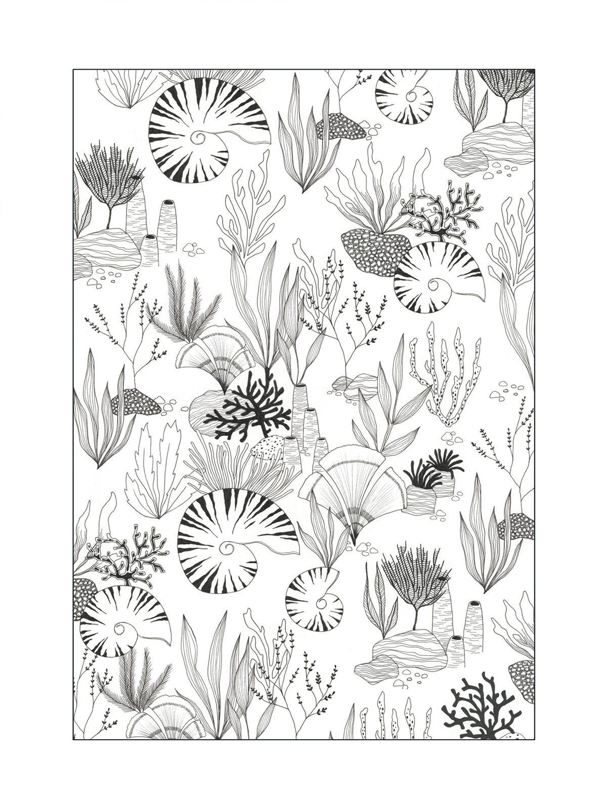 Affiche Coraux Sous l'Océan 30x40 noir et blanc - Seaside de Casadéco | Réf. SEAS201679902