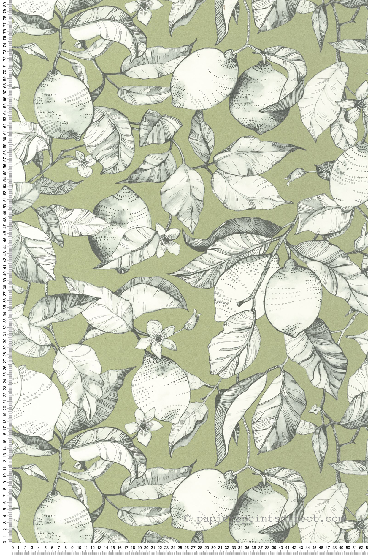 Papier peint Citronnier Contemporain vert argile - Soliflore de Casadéco | Réf. SOLI200277313