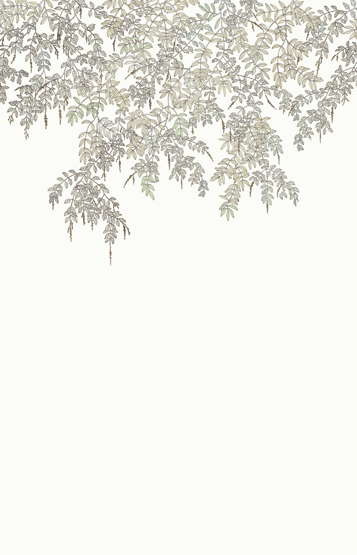 Papier peint panoramique Feuillage Falling Petals vert d'eau 200X310 - Art of Botany de Casélio | Réf. AOB106707004