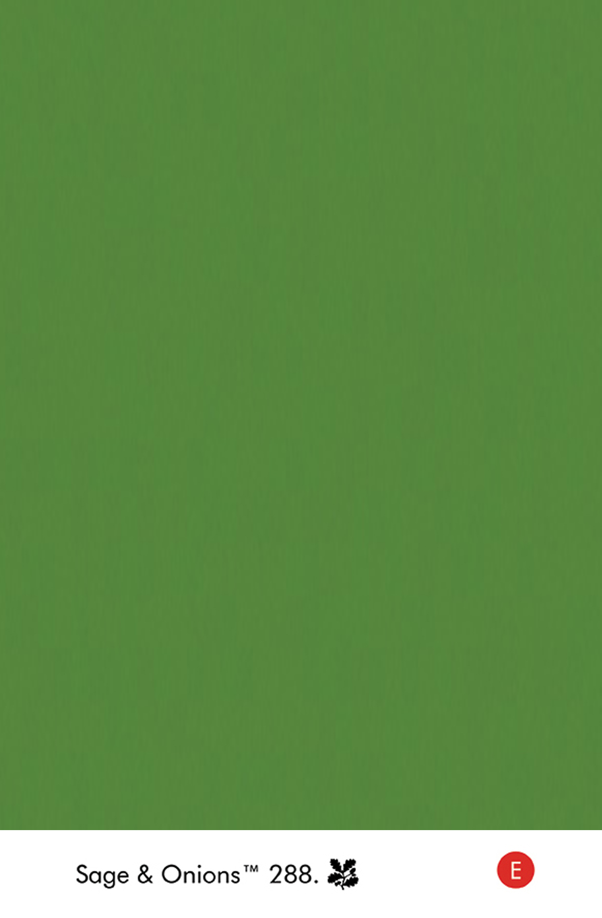 Peinture Little Greene Sage & Onions n°288 Absolute Matt Emulsion 250 ml