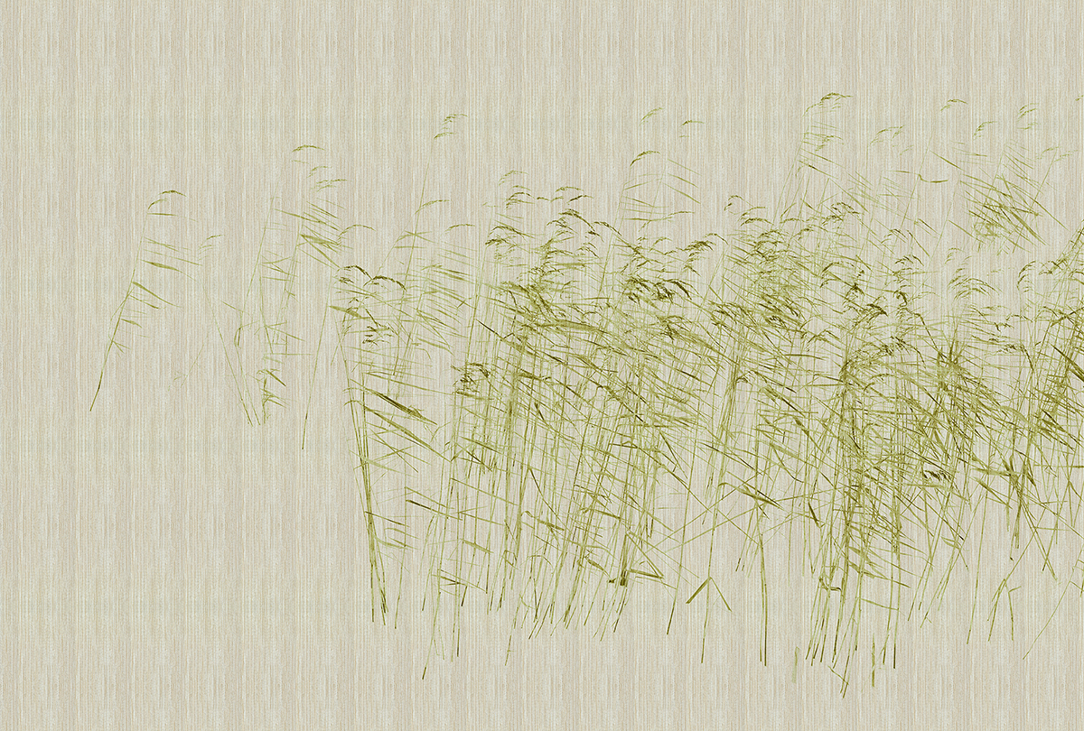 Papier peint panoramique Walls by Patel 3 - Référence DD122052 - Intissé 200g/m2 - 400 x 270 cm