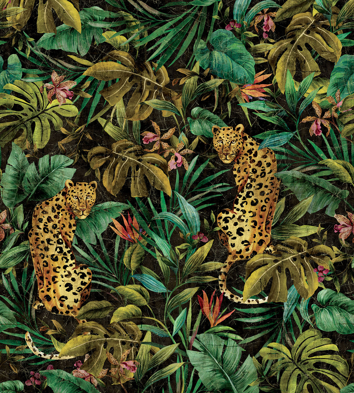 Papier peint panoramique Léopard Exotique noir - Daisy Bennett d'Initiales | Réf. INI-DB30900M