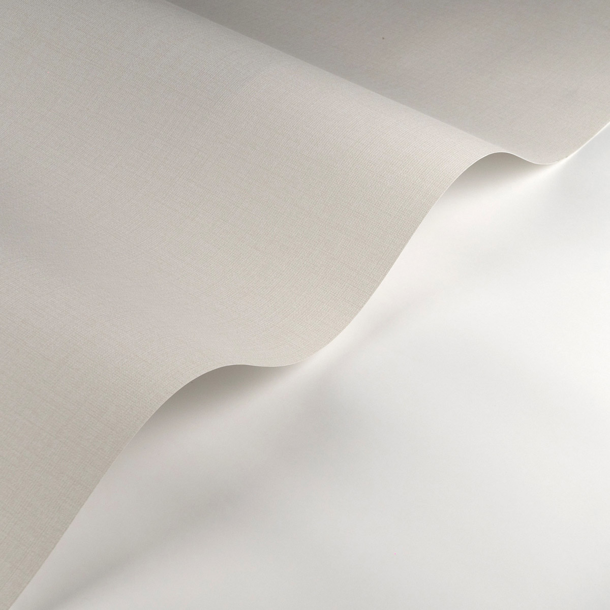 Papier peint Faux Uni Pointillé Smith craie - Carnaby Street de Casadéco AMBV | Réf. CARN200566664