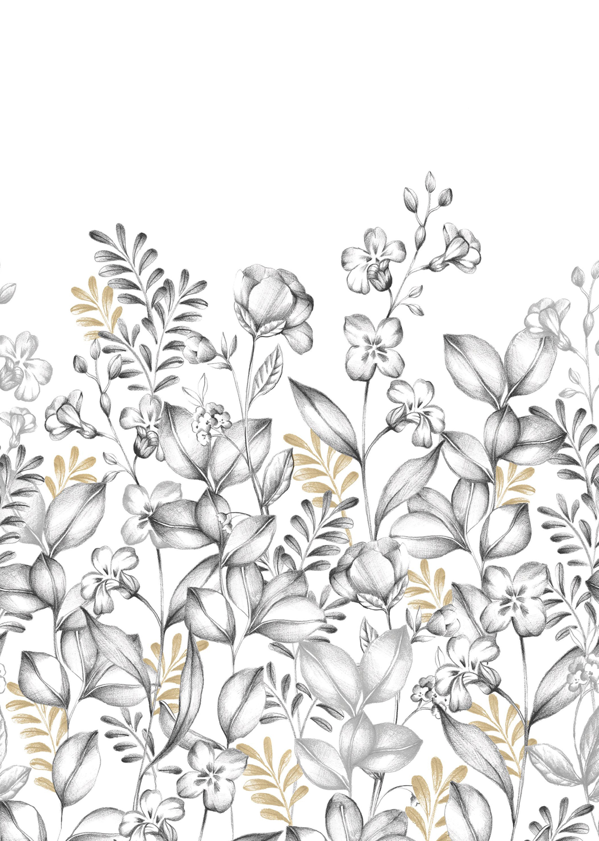 Papier peint Panoramique Prairie Florale Florescence noir et blanc 200X280 - Moonlight 3 de Casélio | Réf. MNL3107280903