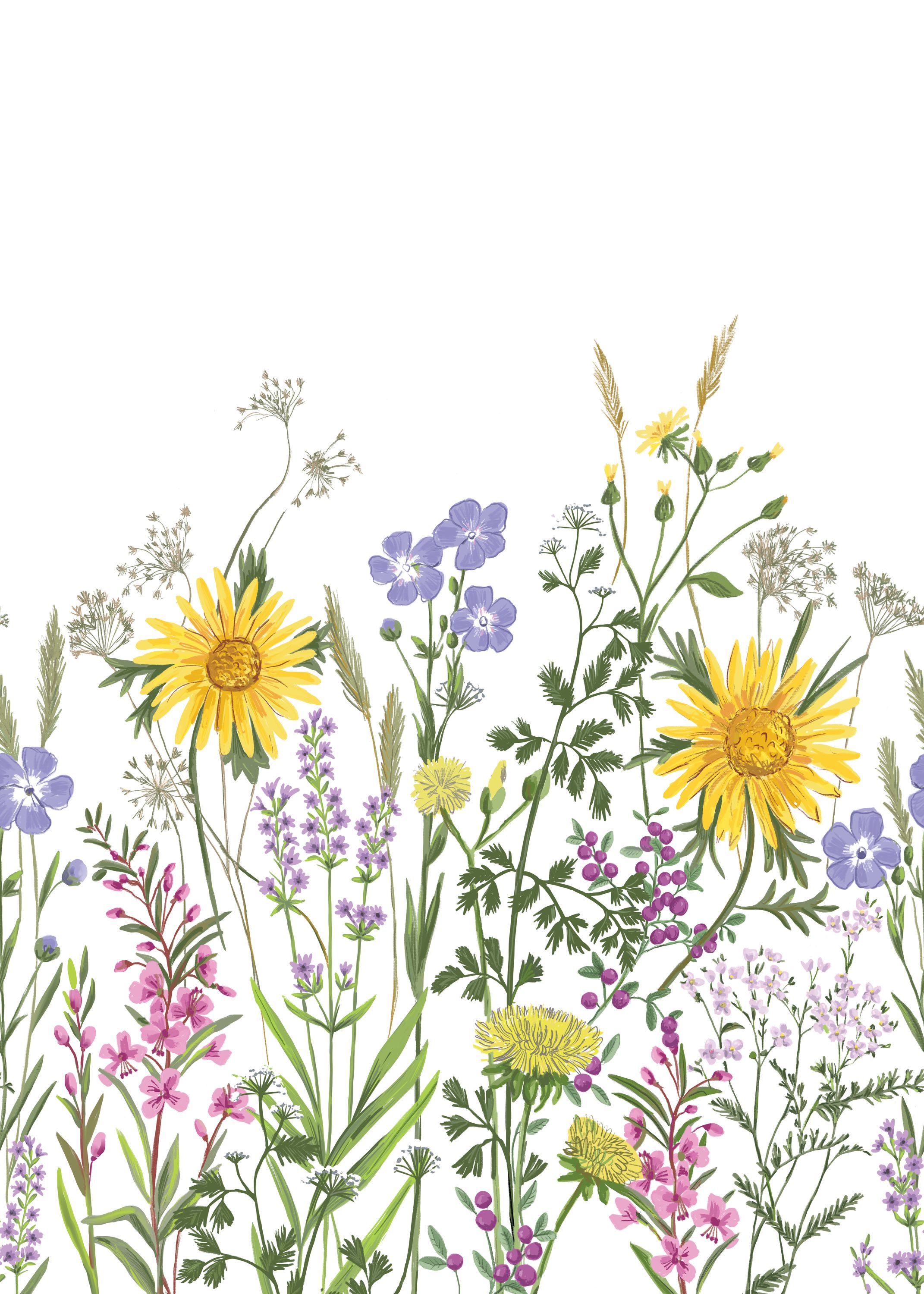 Papier peint panoramique Fleurs Thalia violet jaune M 200x280 - Danae de Casélio | Réf. DAE103674203