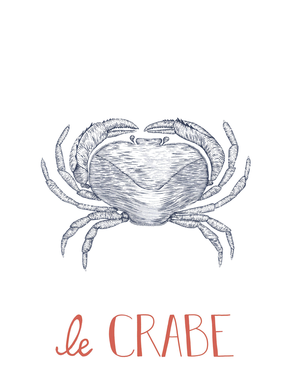 Affiche Crabe Croquis 30x40 bleu marine - Seaside de Casadéco | Réf. SEAS201648602