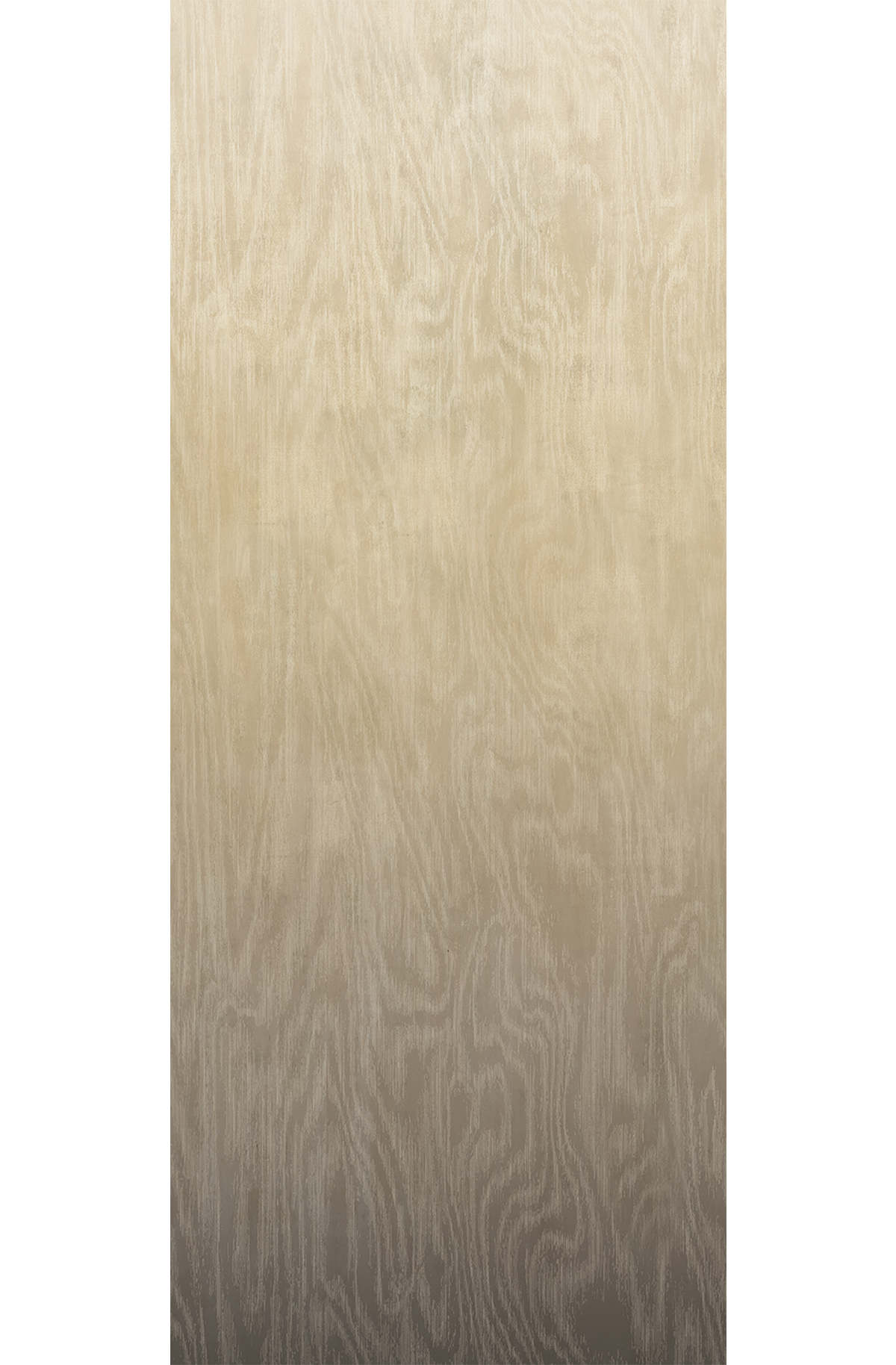 Papier peint panoramique Dégradé Moiré Bois beige marron - C H260 - Wall Designs IV de Masureel | Réf. MAS-DG4MOI1053-260