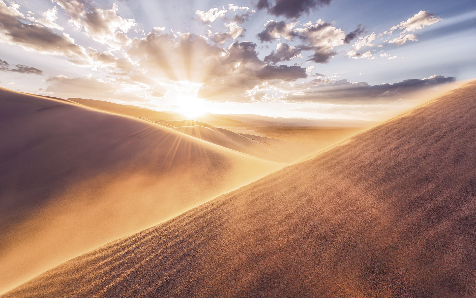 Panoramique Gently Touched - Papier peint Komar