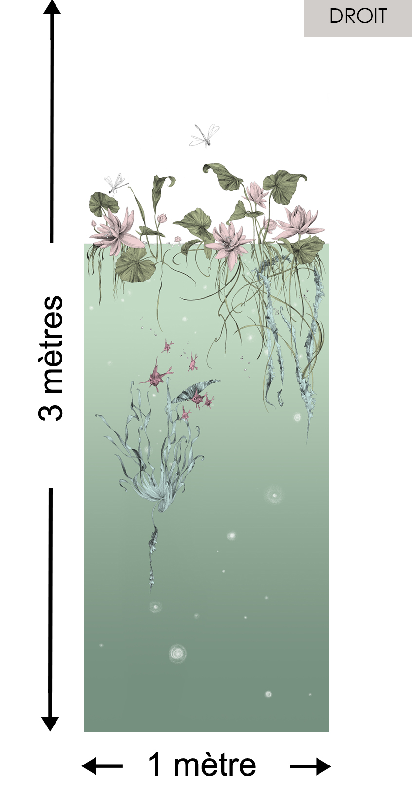 Nénuphars DROIT Aqua - Collection Catherine Gran de Edmond Petit