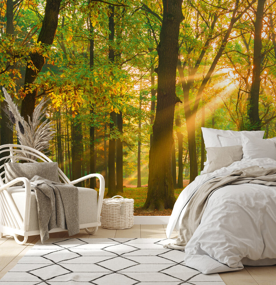 Papier peint panoramique Forêt Woodland - Wall Love d'A.S. Création | Réf. DD129566