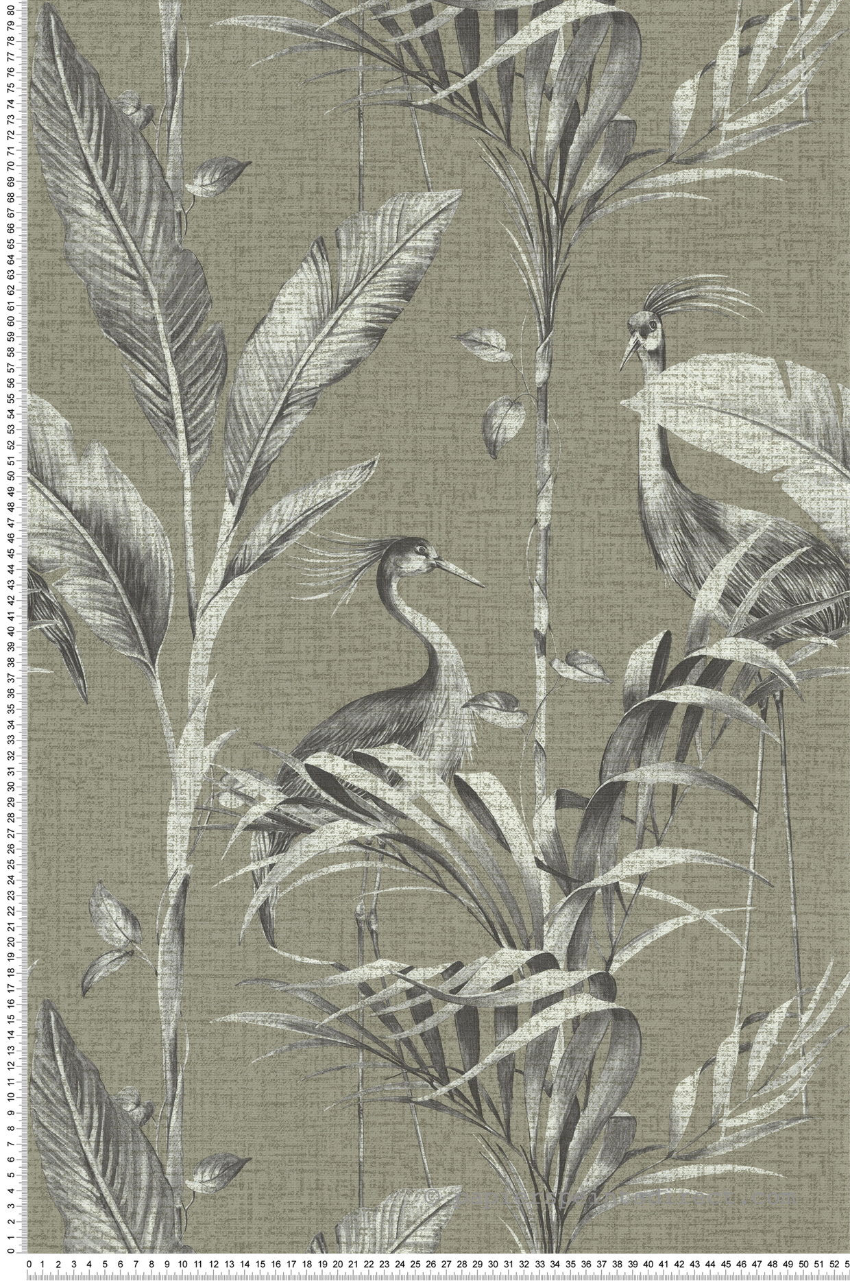 Papier peint Oiseau Grue vert de gris - Les Essentiels de Lutèce | Réf. LTC-11250404