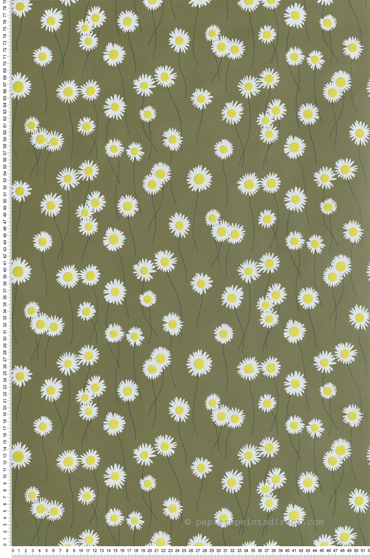 Papier peint Fleur Moon Daisies Olive Colour - In The Garden de Little Greene | Réf. 0234MDOLIVE