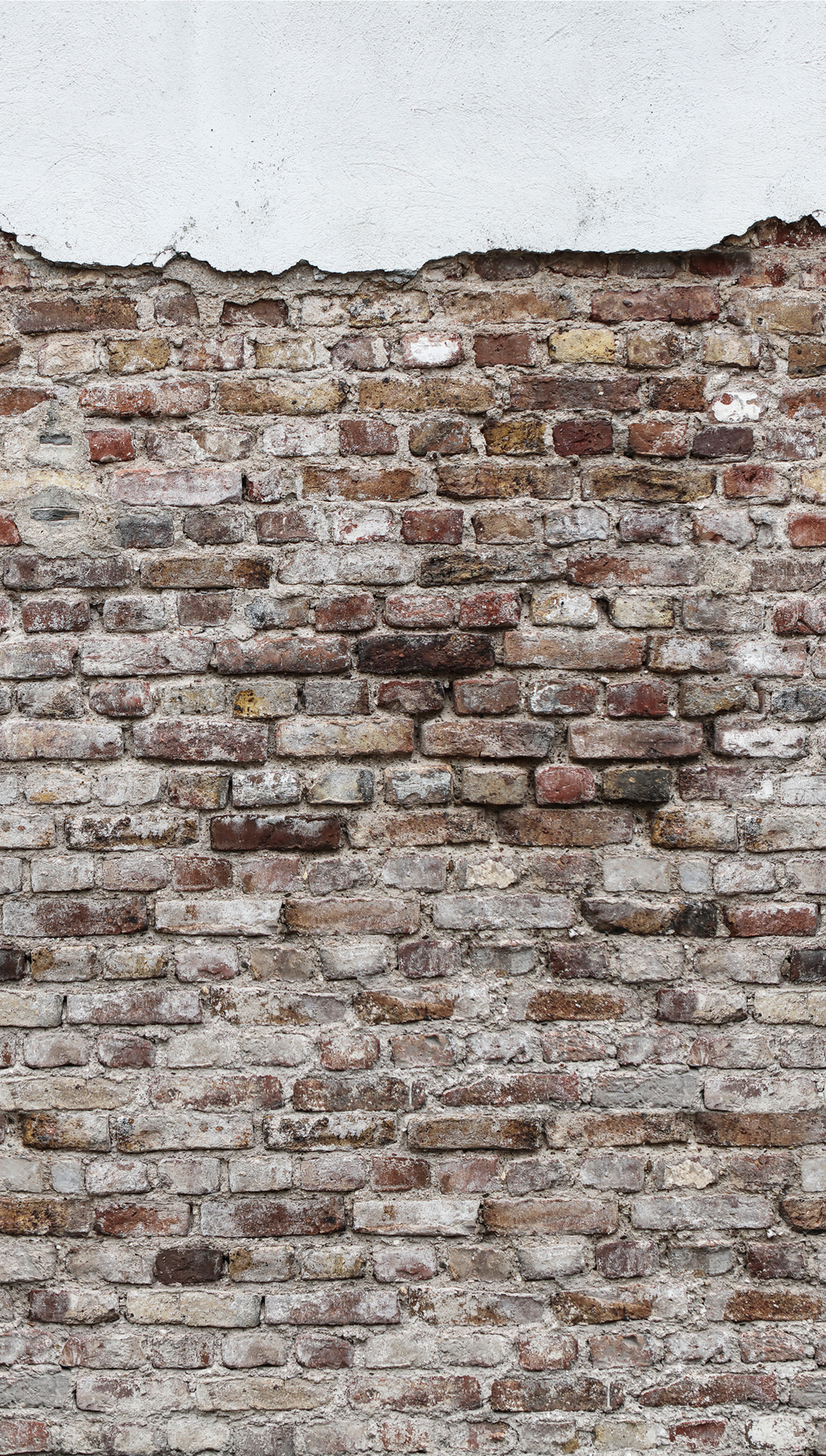 Papier peint panoramique Brique Enduit Haut - The Wall d'A.S. Création | Réf. AS-383331