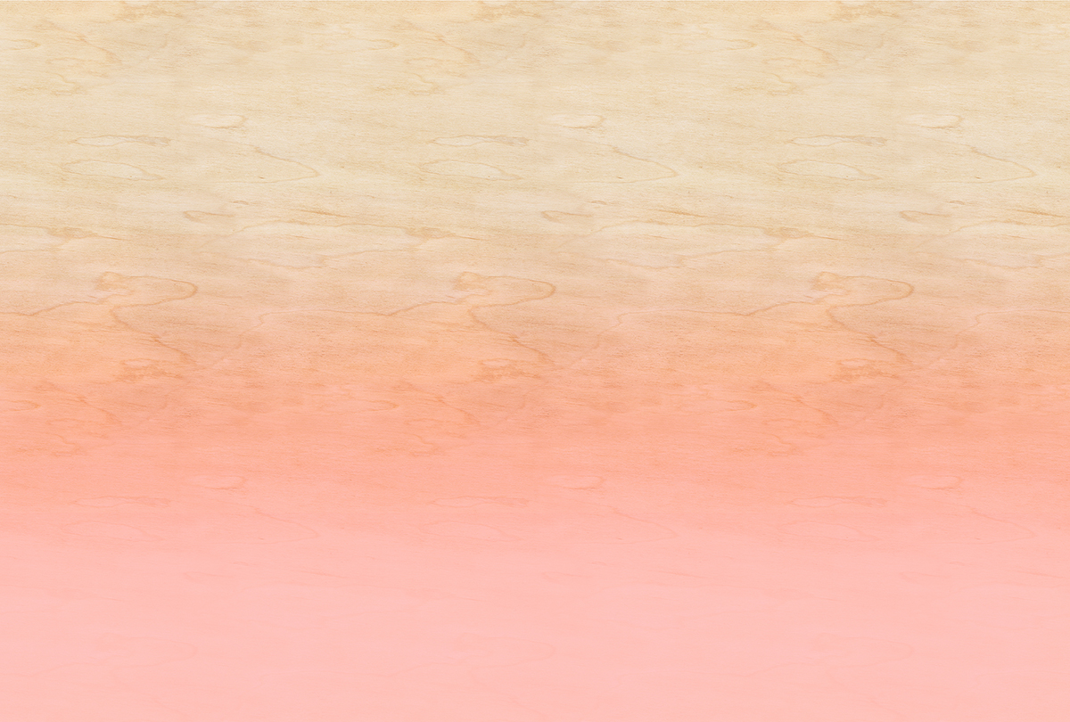 Papier peint panoramique Walls by Patel 3 - Référence DD122628 - Intissé 200g/m2 - 400 x 270 cm