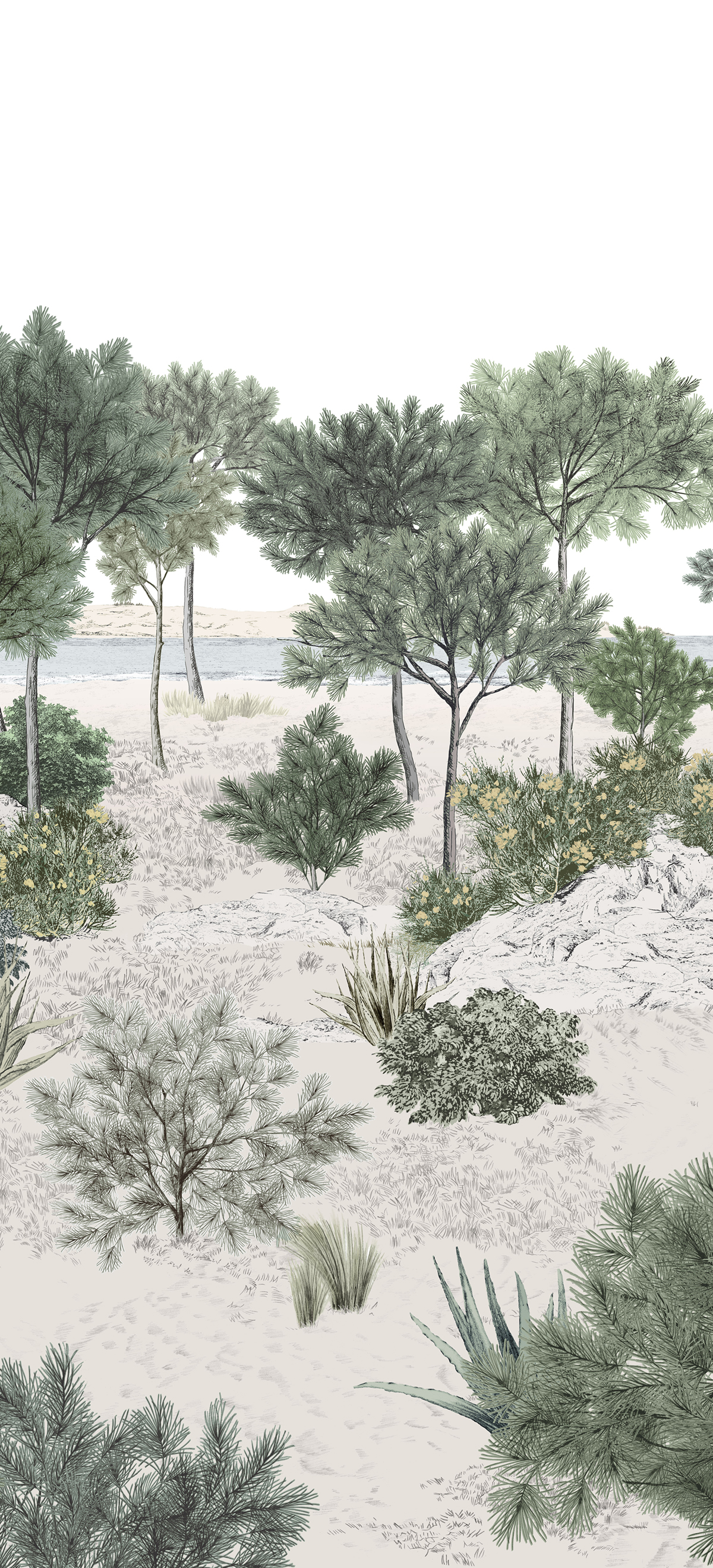 Papier peint panoramique Dune Naturel B - 4/5/6 - Isidore Leroy