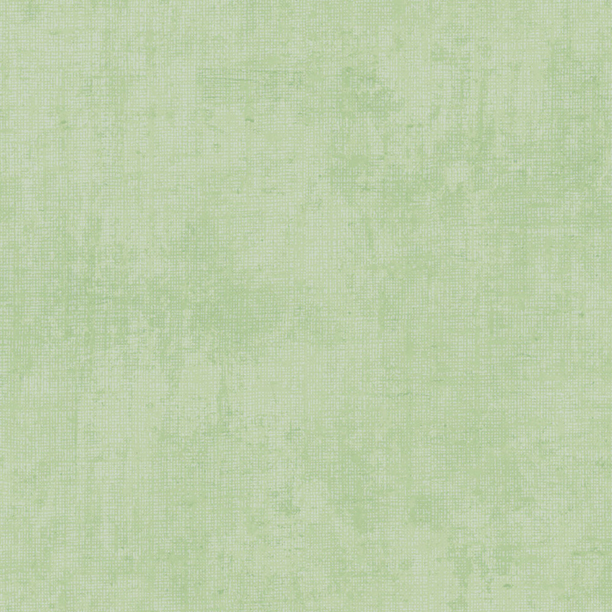 Papier peint Faux Uni Patine vert - Lilly & Luis d'A.S. Création AMB6 | Réf. AS-771788