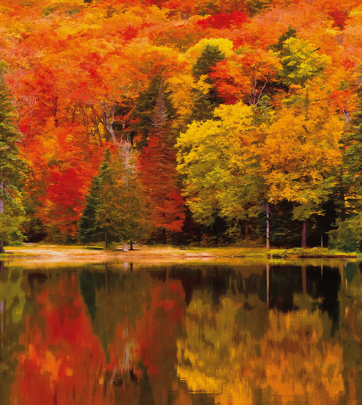 Papier peint panoramique Peinture Forêt Autumn rouge - Beauty Full Image 2 de Casadéco | Réf. BFMA87103813