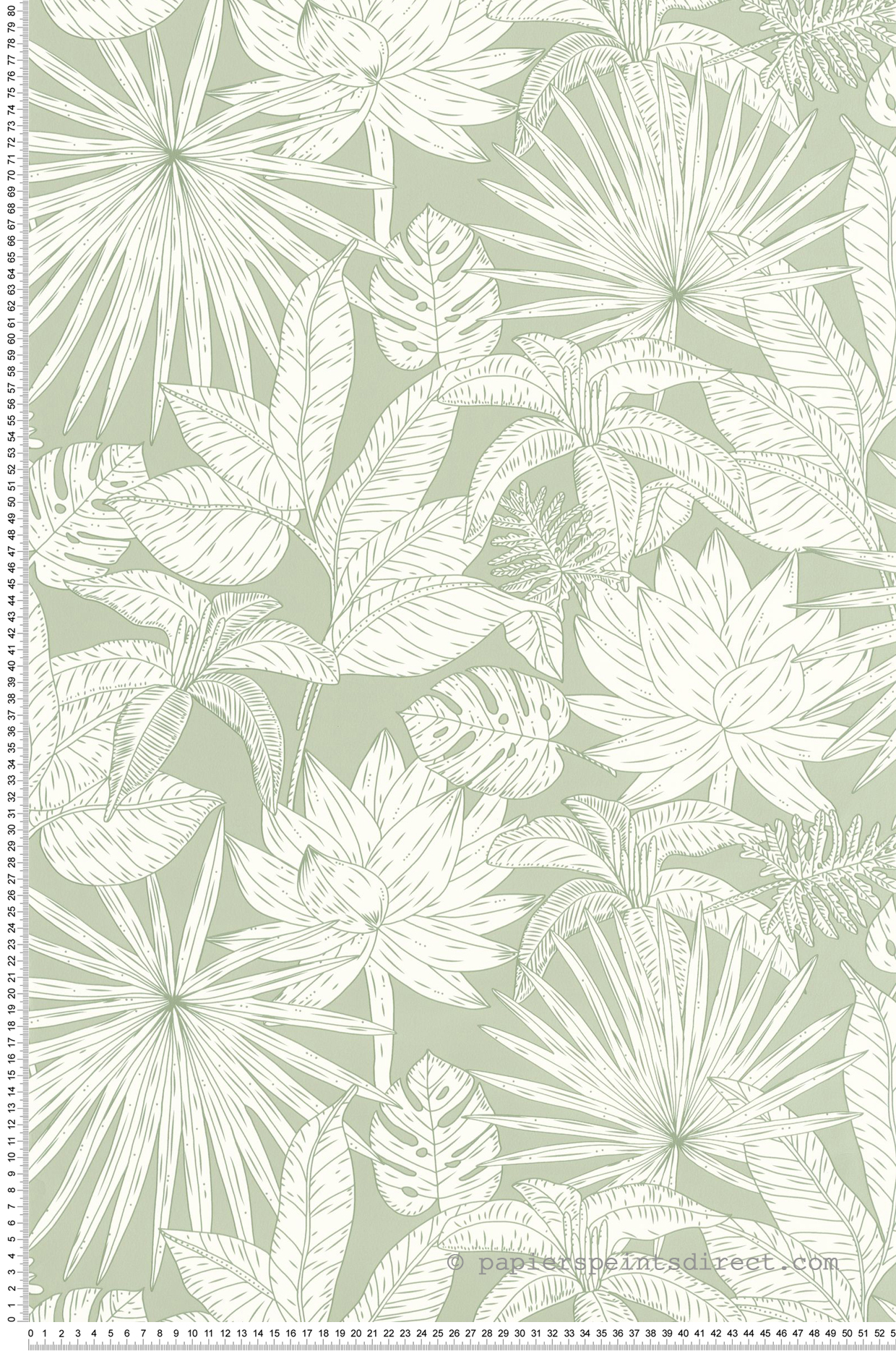 Papier peint Jungle Feuilles Hawai vert doux - Green & Co de Casélio | Réf. GCO101437041