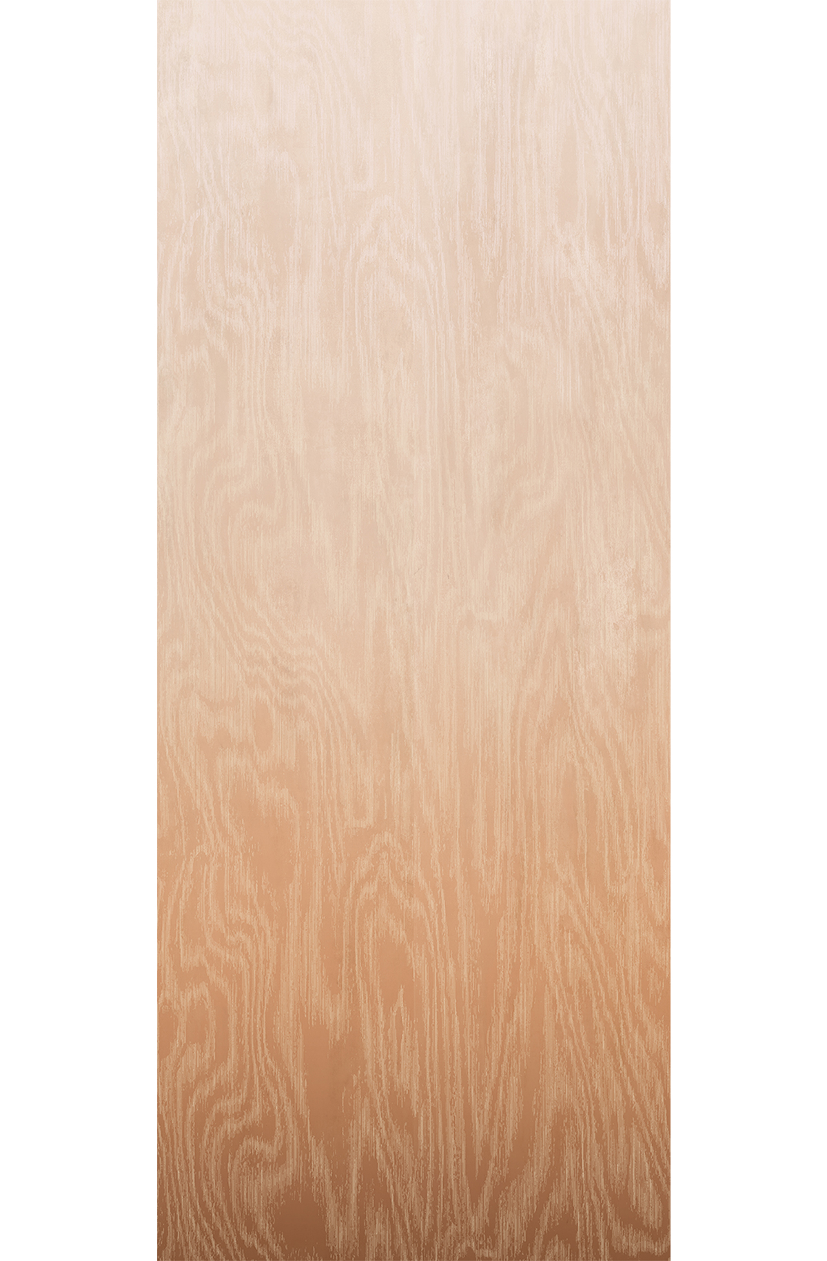 Papier peint panoramique Dégradé Moiré Bois camel beige - B H260 - Wall Designs IV de Masureel | Réf. MAS-DG4MOI1042-260