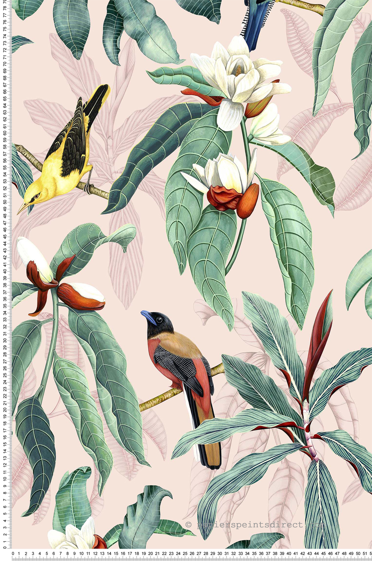 Papier peint exotique Oiseaux Michelia Blush - Empyrea d'Osborne & Little | Réf. OSB-W7612-02