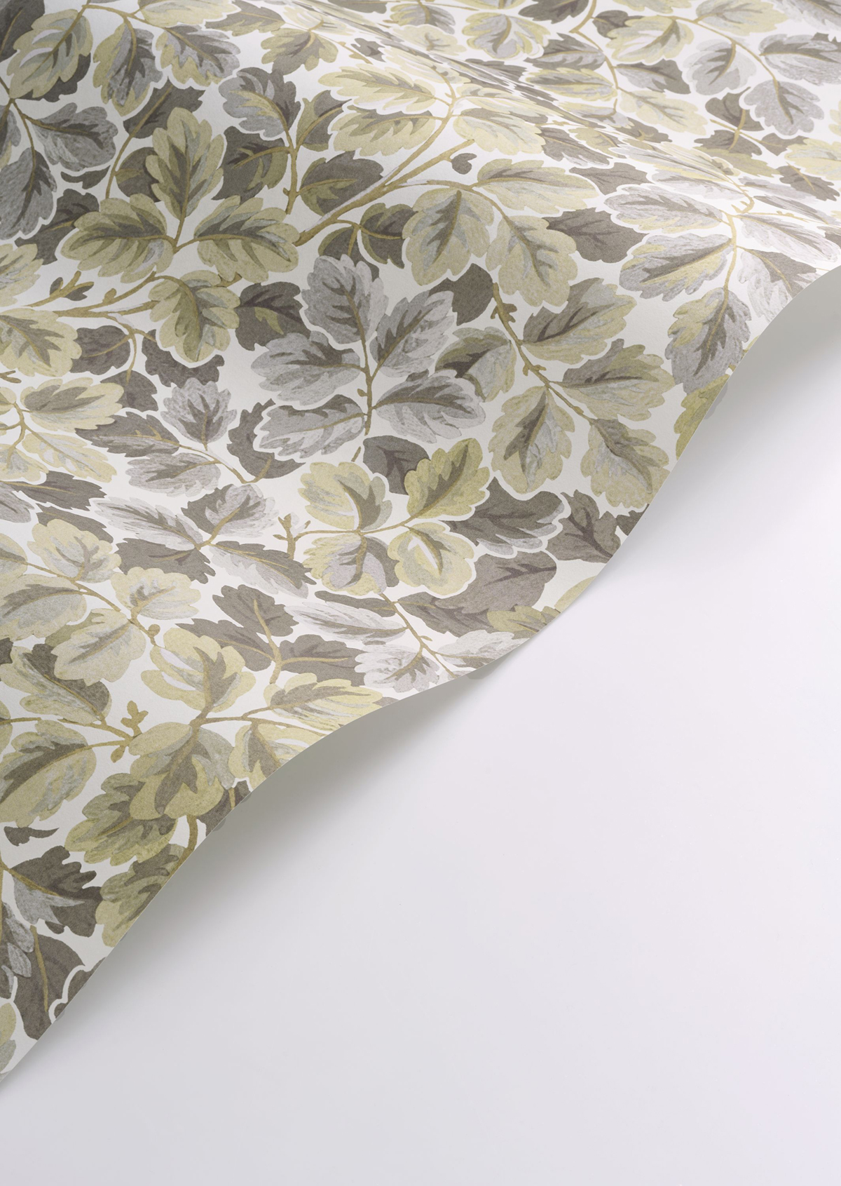 Papier peint Feuille de Chêne Regent's Park beige - Heritage de Casadéco AMBV | Réf. HETA201201895