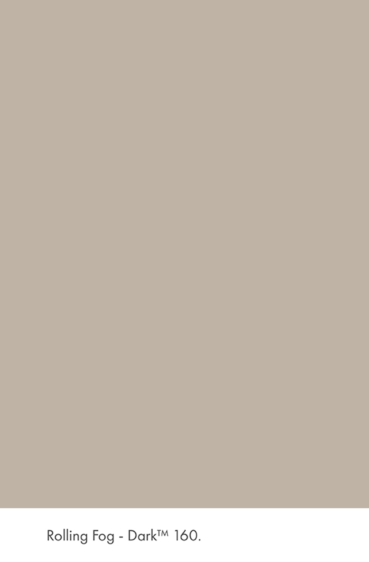 Peinture Little Greene Rolling Fog Dark n°160 Absolute Matt Emulsion 250 ml