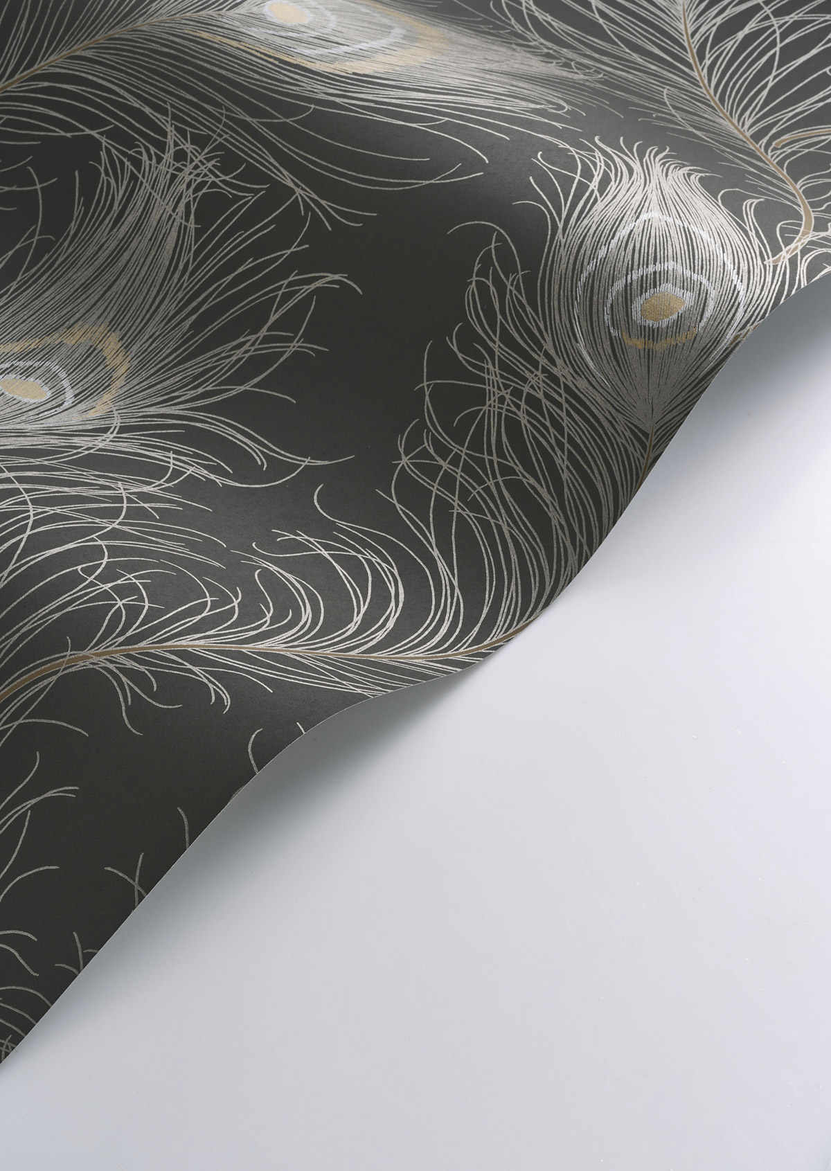 Papier peint Plume Paon Revue brun ardoise irisé - Années Folles de Casadéco AMBV | Réf. ANFO201079957