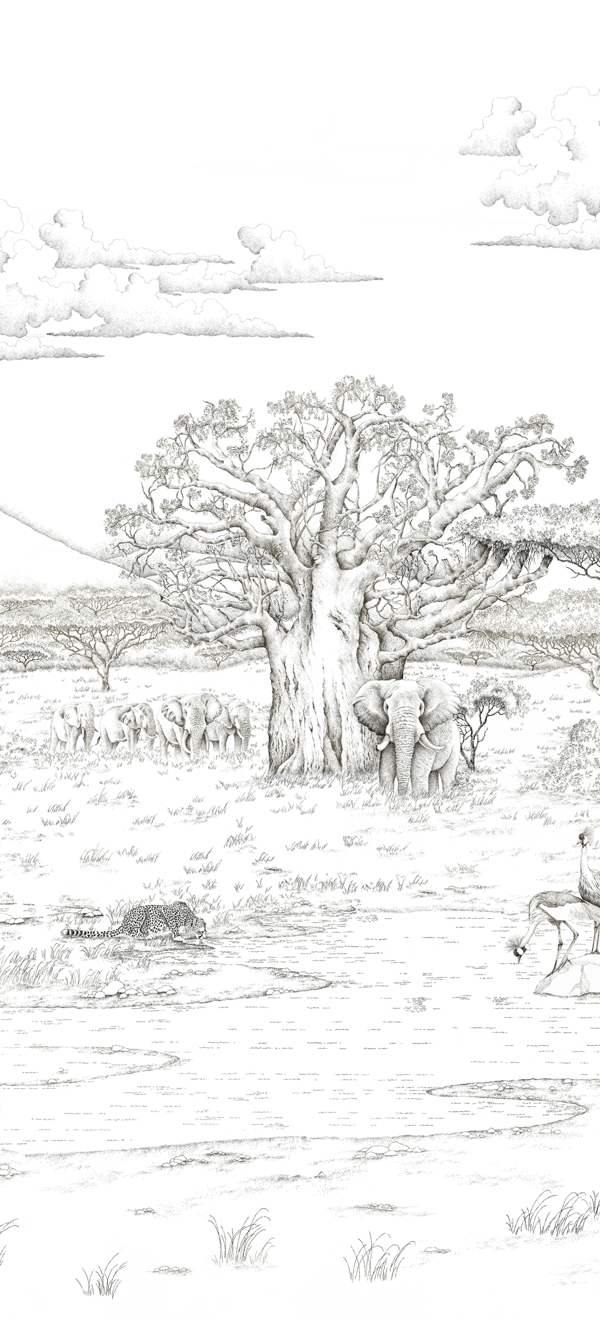 Papier peint panoramique Animaux Vallée du Rift Gris A - 1/2/3 - Isidore Leroy