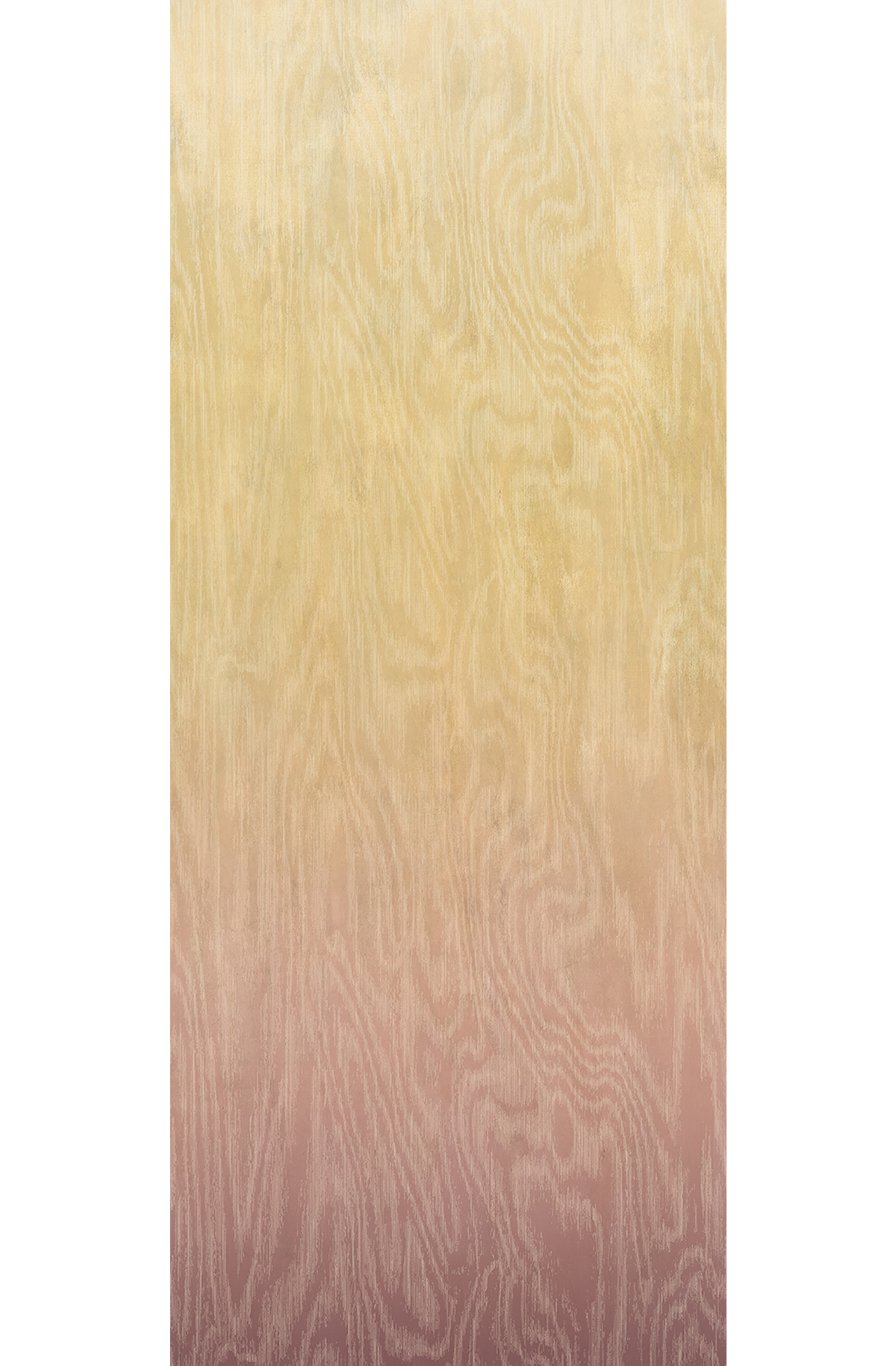 Papier peint panoramique Dégradé Moiré Bois rose beige - B H260 - Wall Designs IV de Masureel | Réf. MAS-DG4MOI1062-260