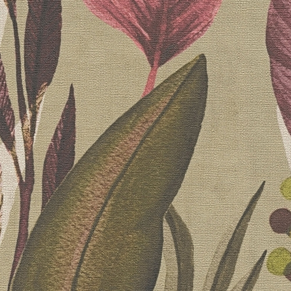 Papier peint Palmes Exotiques vert amande prune - Anna D'Andrea d'A.S. Création AMB3| Réf. AS-782192