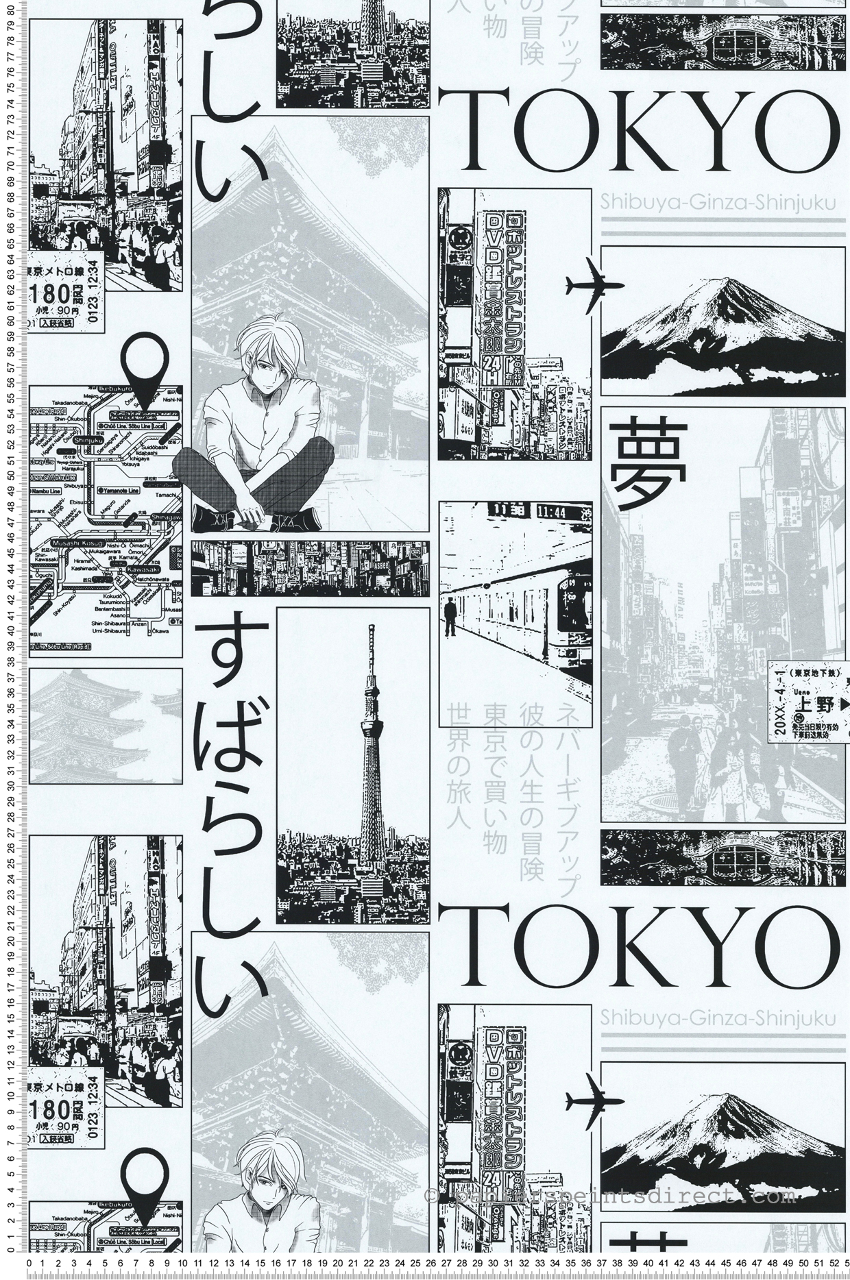 Papier peint Manga Tokyo noir blanc argenté - Les Aventures de Lutèce | Réf. LTC-36240609
