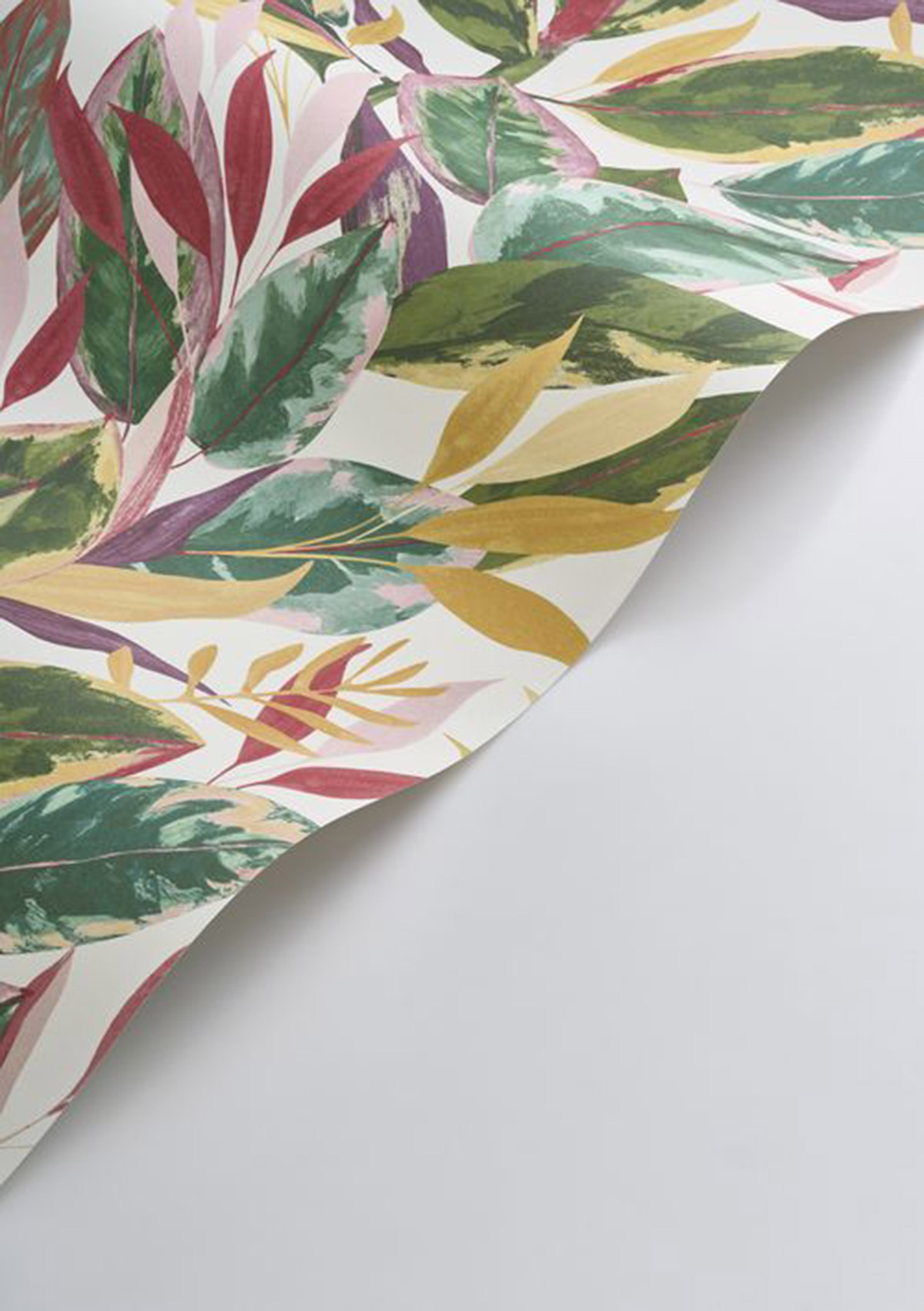 Papier peint Ficus Feuille fuchsia - Rio de Casadéco AMB4| Réf. RIOC201814218