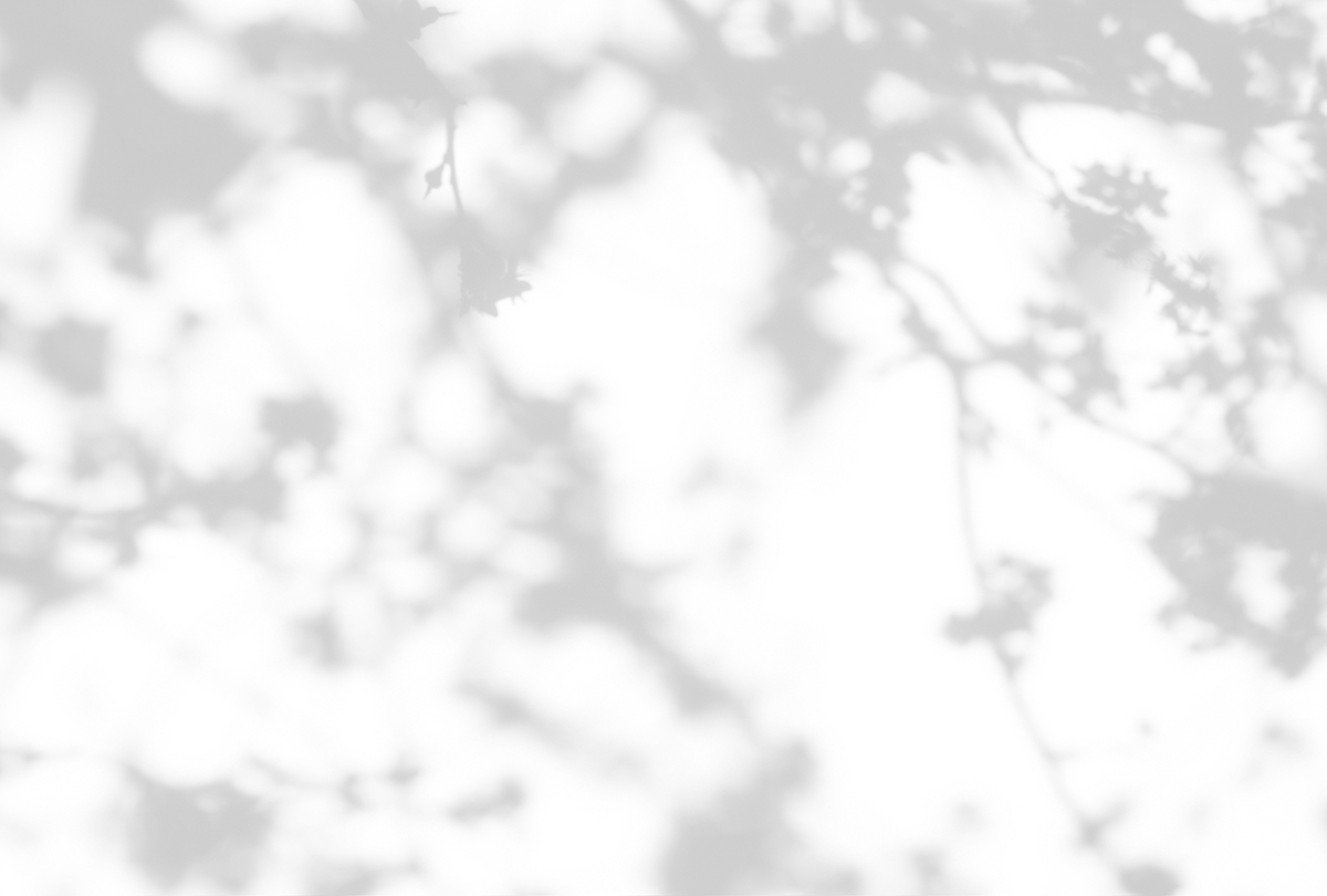 Papier peint panoramique Walls by Patel 3 - Référence DD122028 - Intissé 200g/m2 - 400 x 270 cm