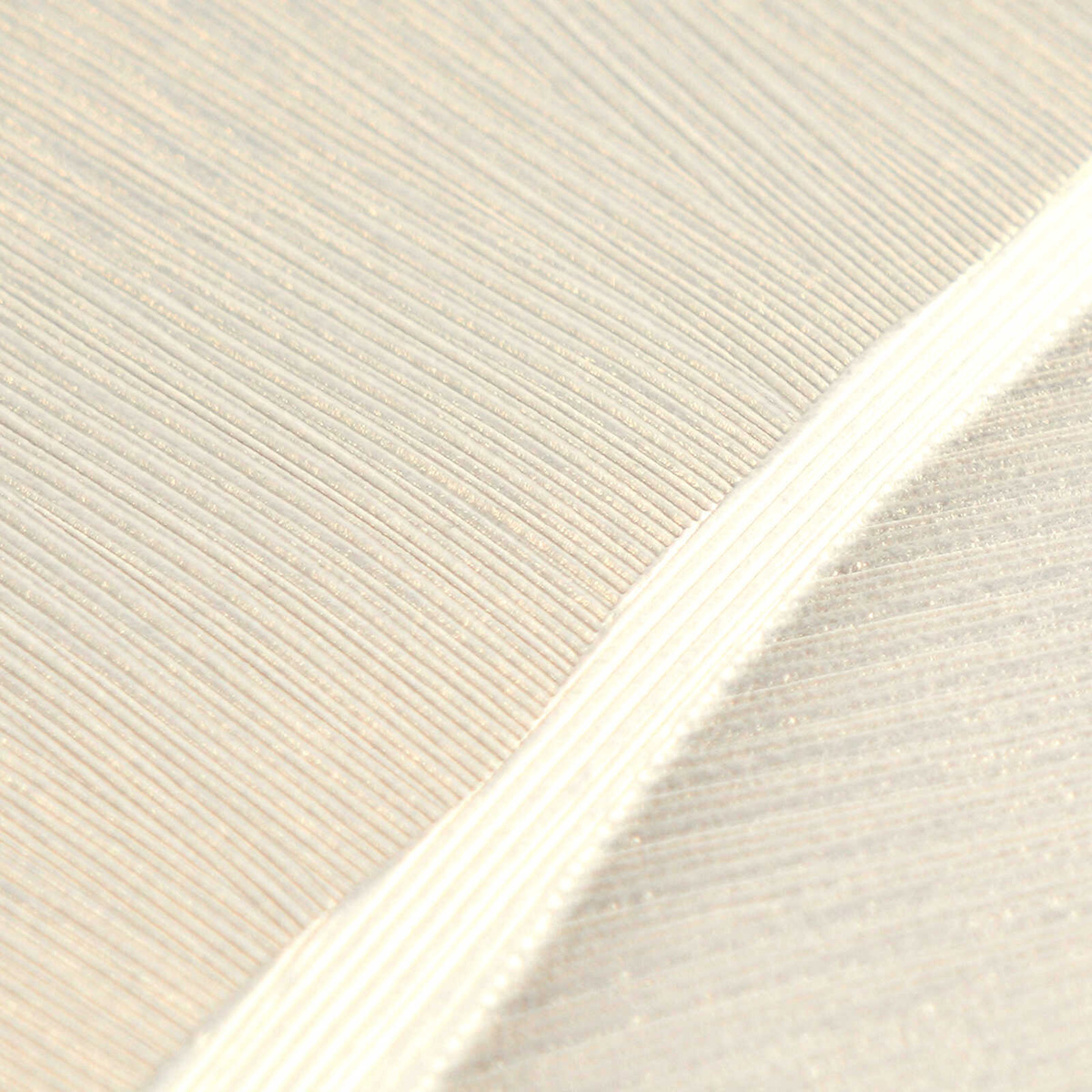 Papier peint Feuillage Graphique ivoire doré - Vibes & Styles d'A.S. Création AMB5| Réf. AS-790395