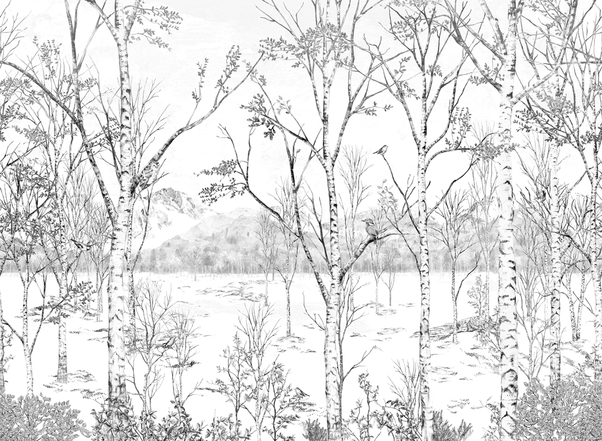 Papier peint panoramique Forêt Nunavut Grisaille A+B+C - 1/2/3/4/5/6/7/8/9 - Isidore Leroy