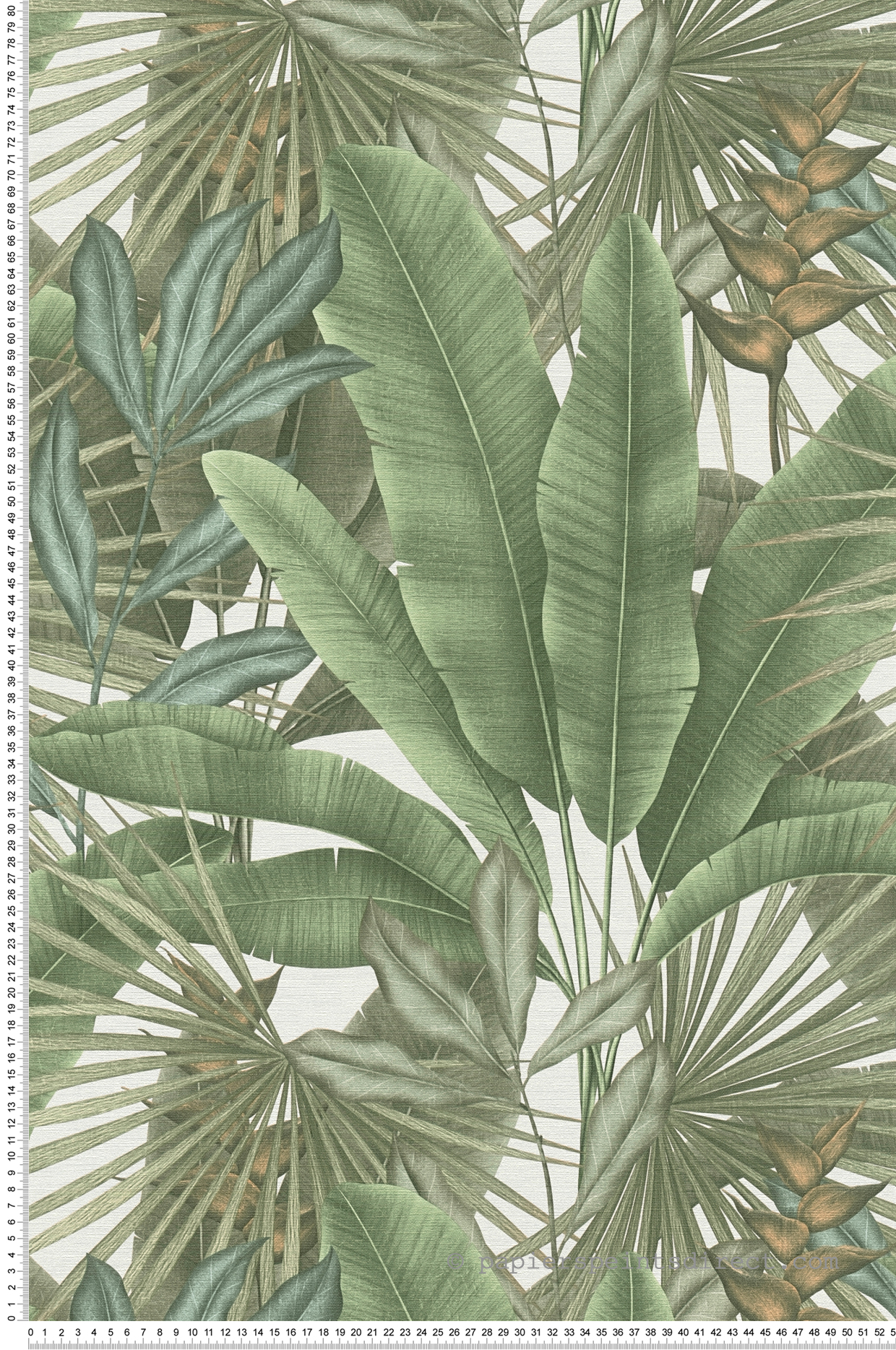 Papier peint Feuillage Jungle Amazonienne vert - Stories of Life d'A.S. Création | Réf. AS-396472