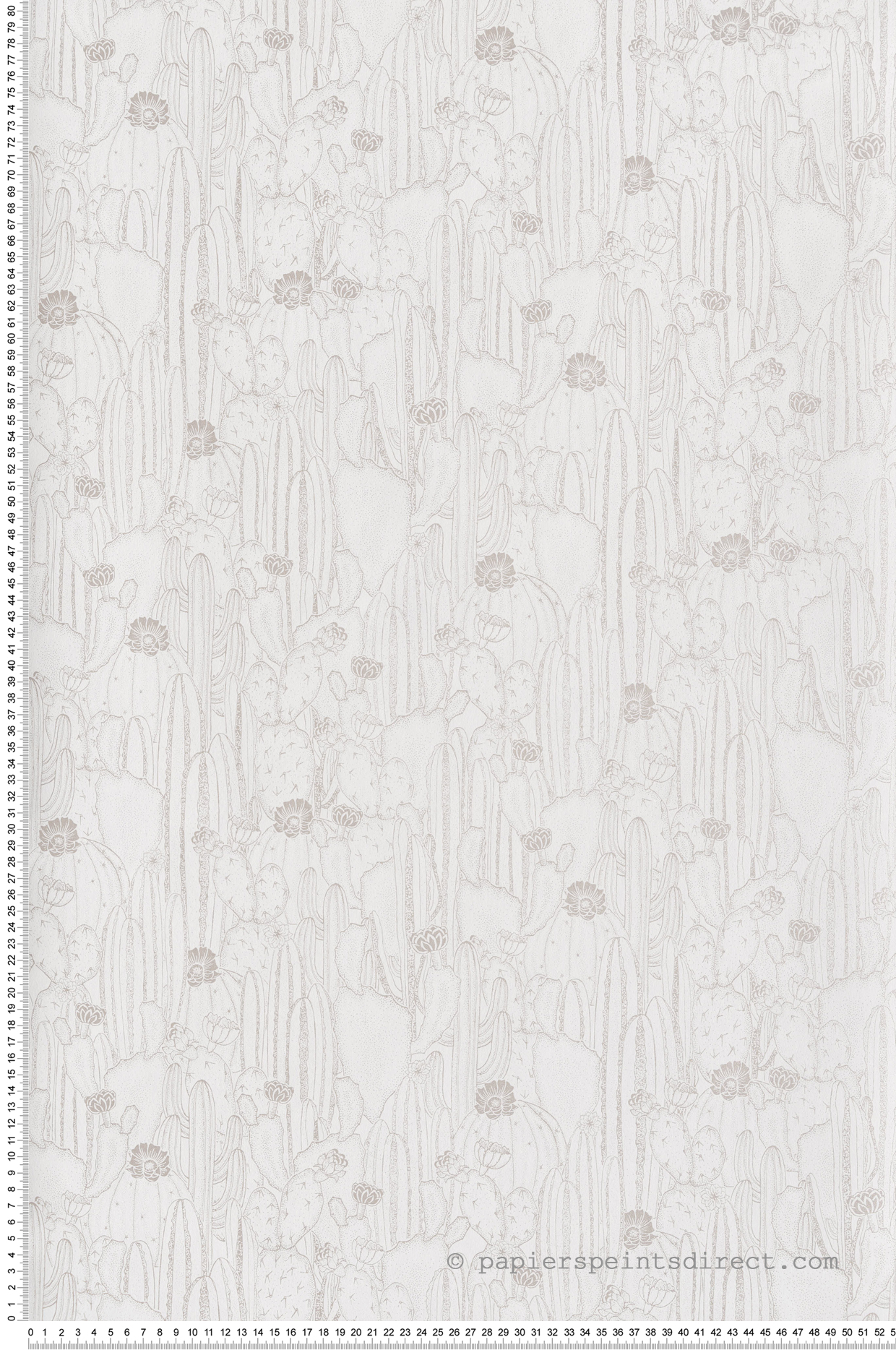 Papier peint Cactus et Fleurs Cactaceae blanc  - Botanica de Casadéco | Réf. BOTA85920298