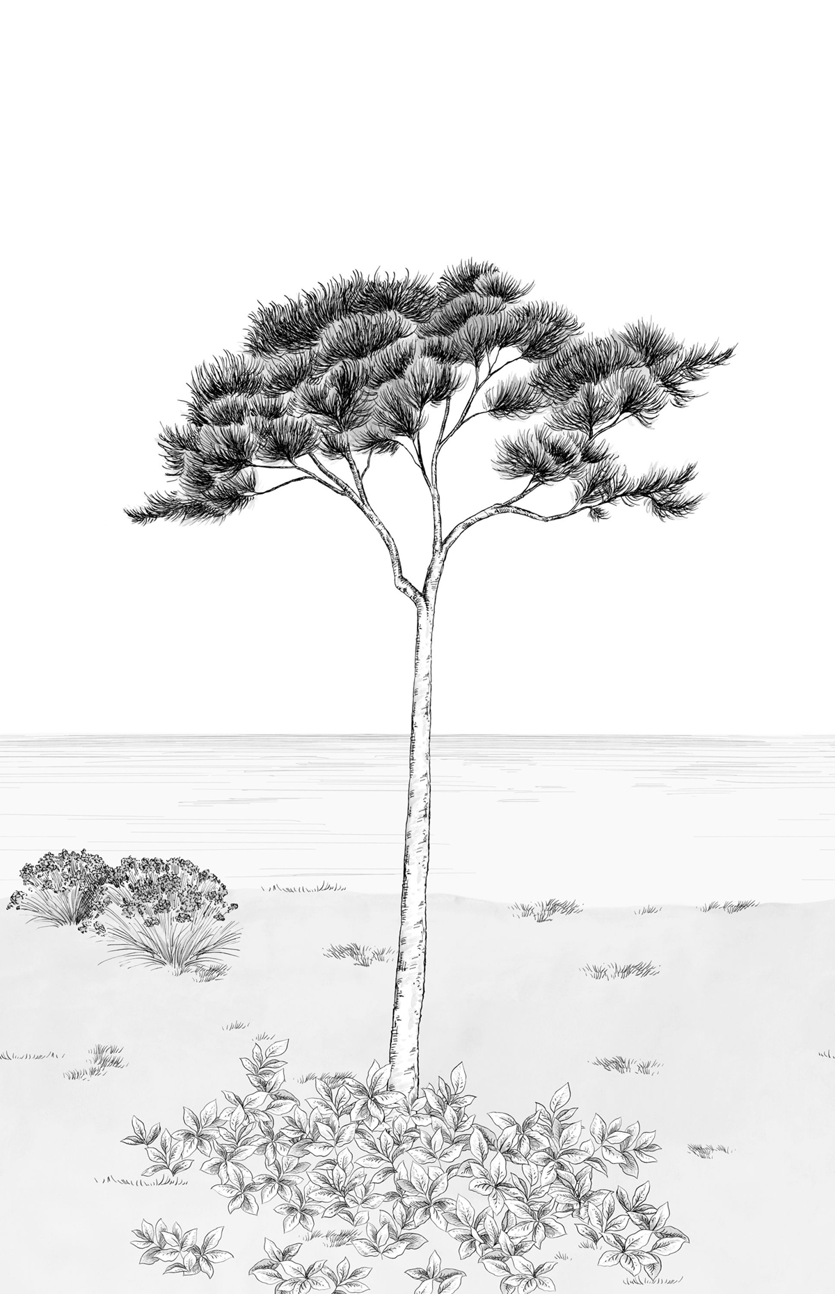 Papier peint panoramique Arbre Parfum de Pin L noir blanc 200X310 - Wonderwalls 2 de Casadéco | Réf. WDWD200029104