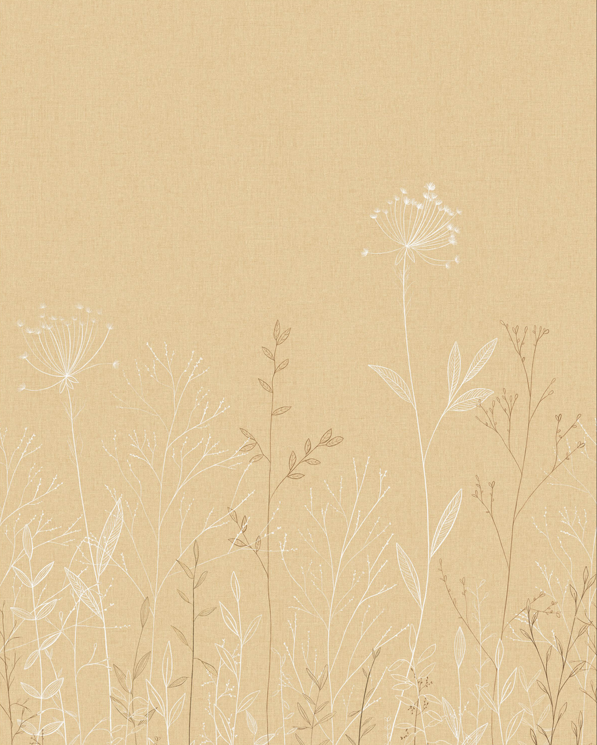 Papier peint Panoramique Prairie Field Line beige 200X250 - Moonlight 3 de Casélio | Réf. MNL3107221005
