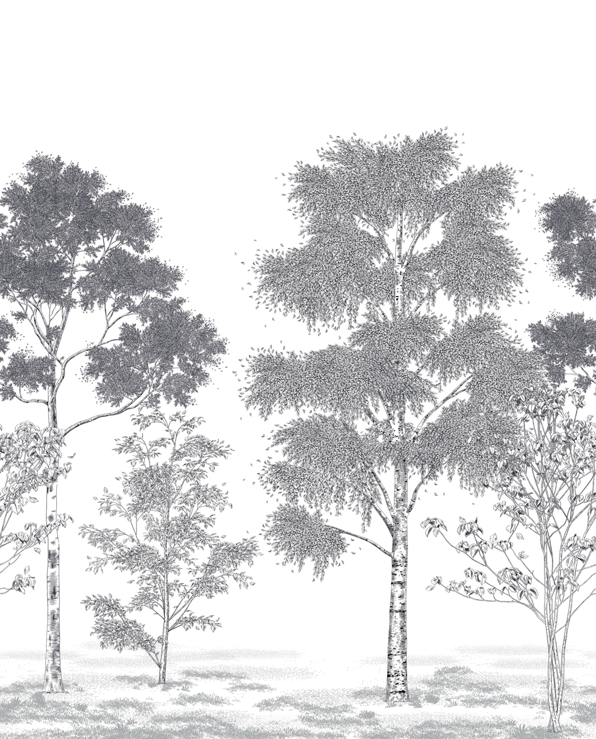 Papier peint panoramique Arbres Poésie Printanière noir blanc L 250X310 - Balade de Casélio | Réf. BLD106169002