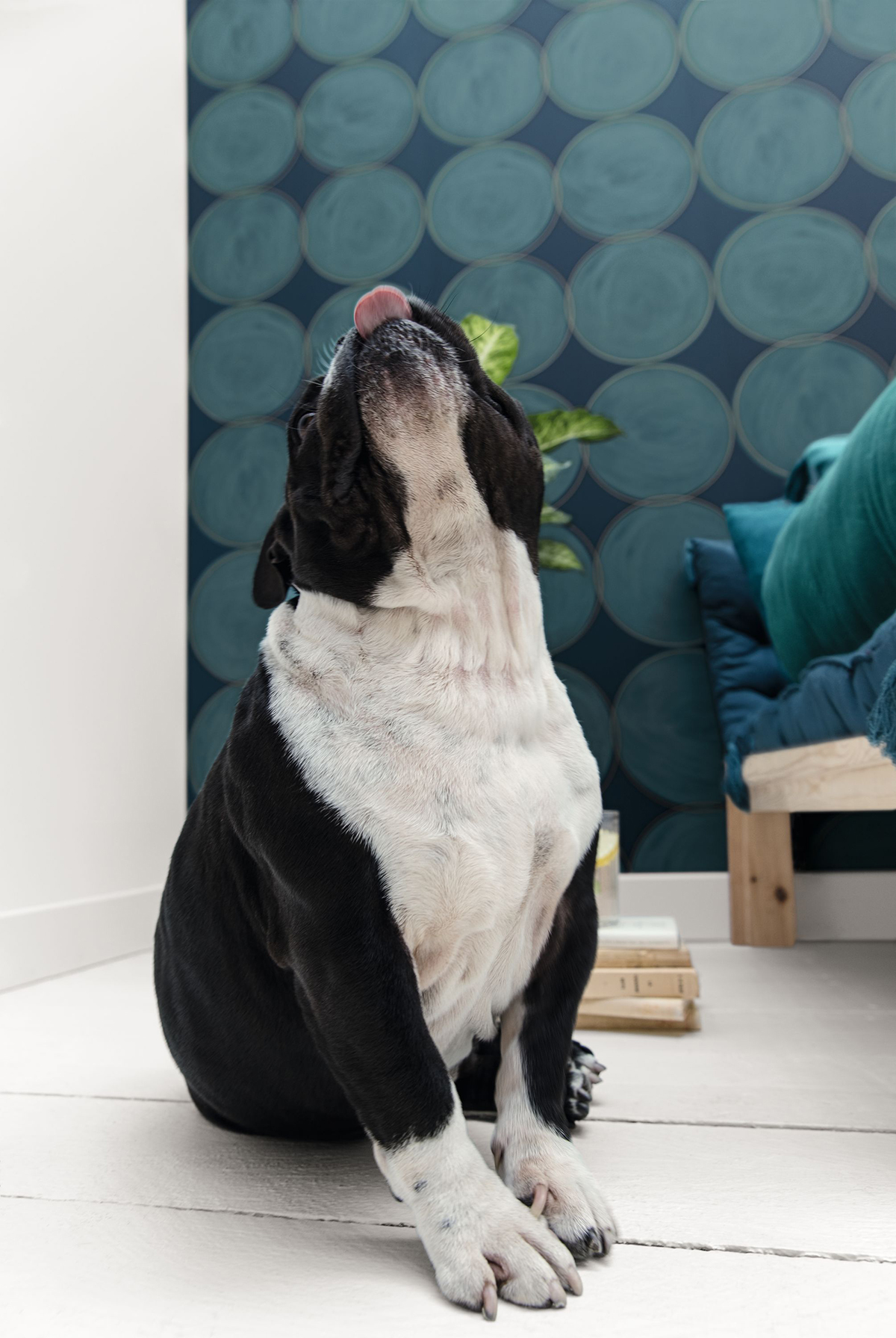 Papier peint Cercle Double All Around canard et doré - Around de Casélio | AMB Réf. ARN102886126